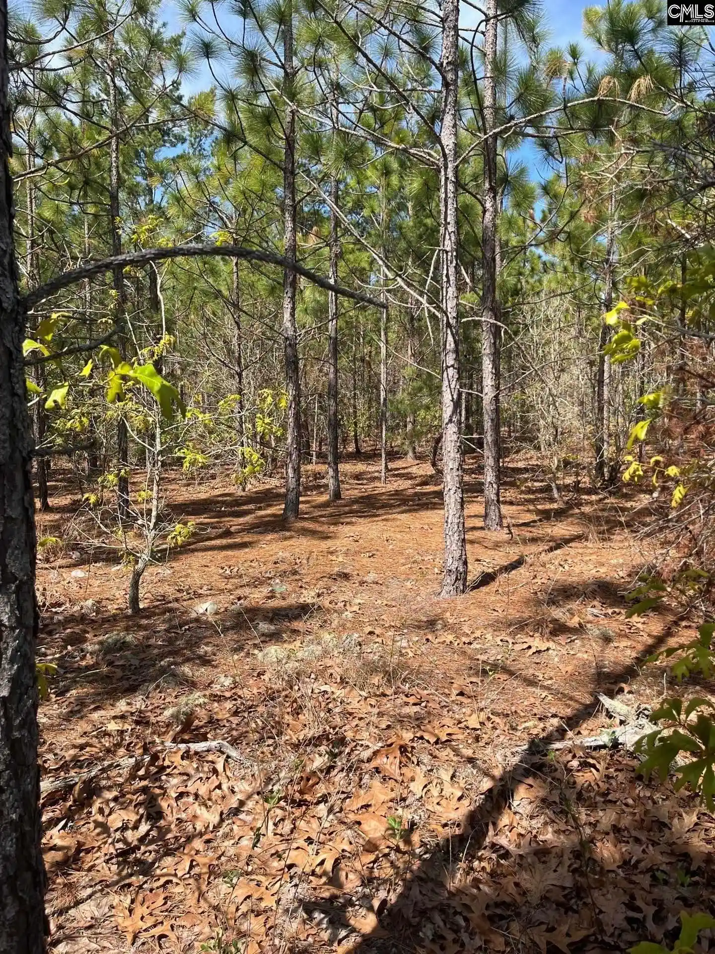4th image of Bdf 5 Beaverdam, Cassatt, SC 29032 | MLS# 632035