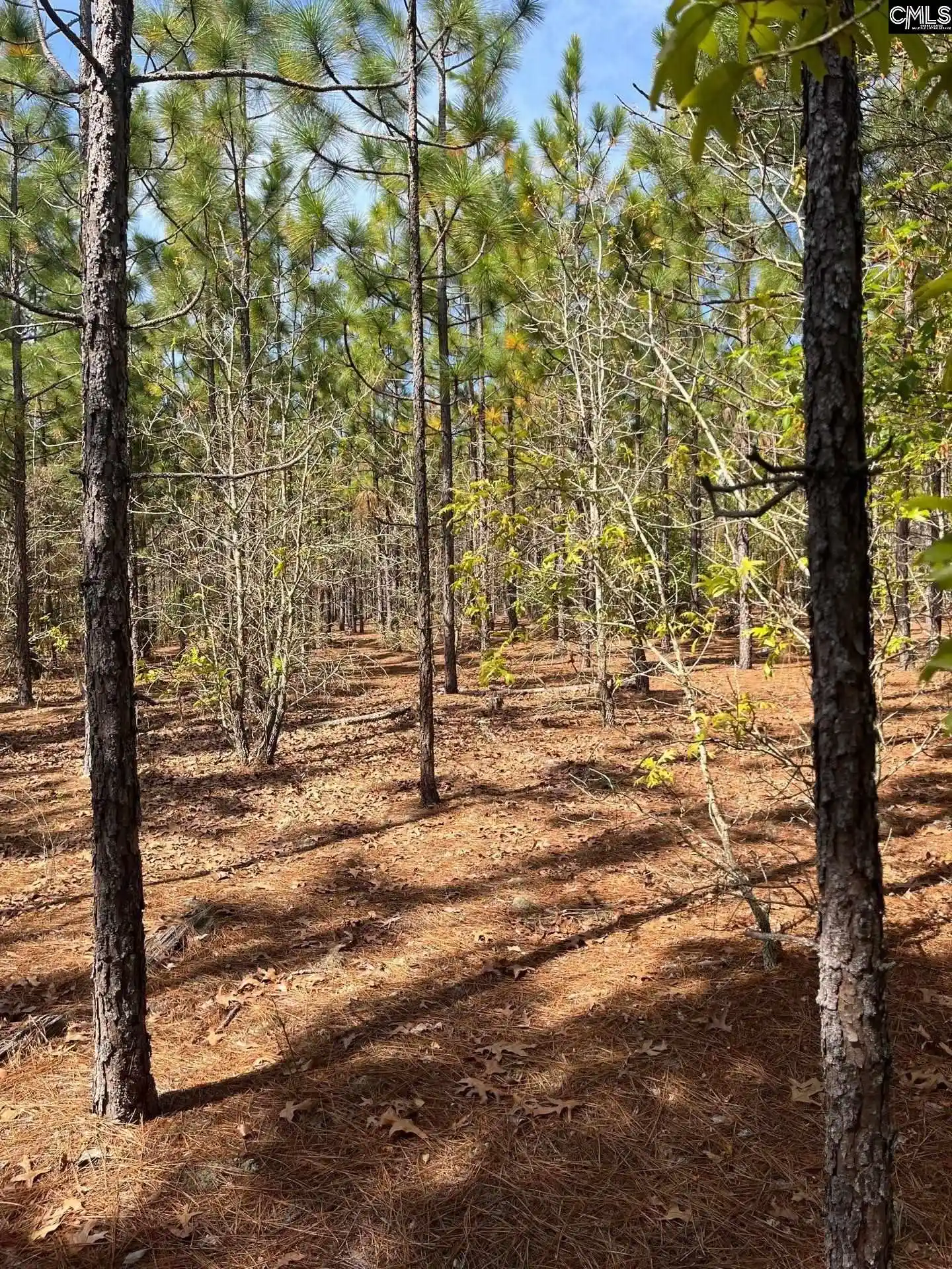 5th image of Bdf 5 Beaverdam, Cassatt, SC 29032 | MLS# 632035