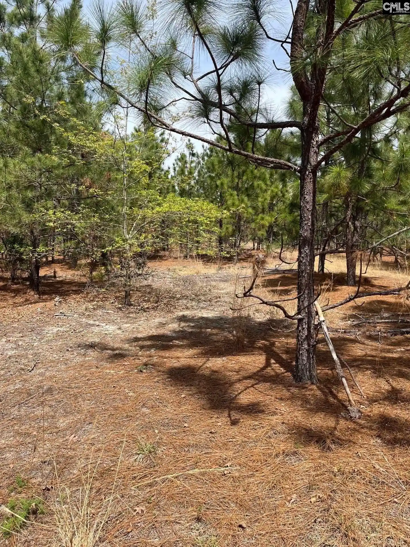 18th image of Bdf 5 Beaverdam, Cassatt, SC 29032 | MLS# 632035