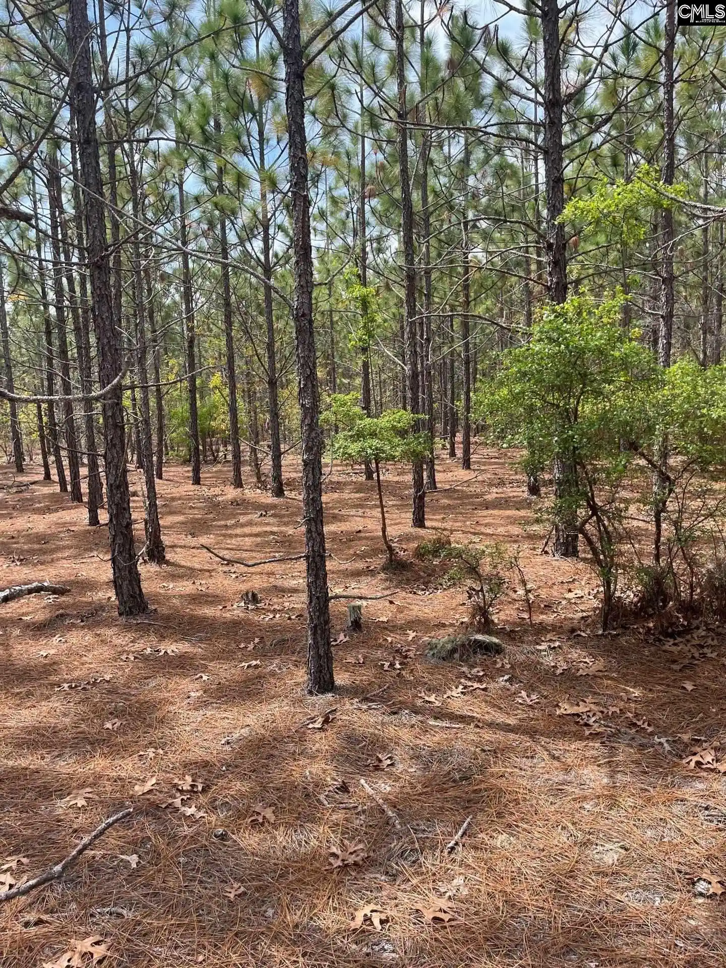 1st image of Bdf 8 Beaverdam, Cassatt, SC 29032 | MLS# 632047