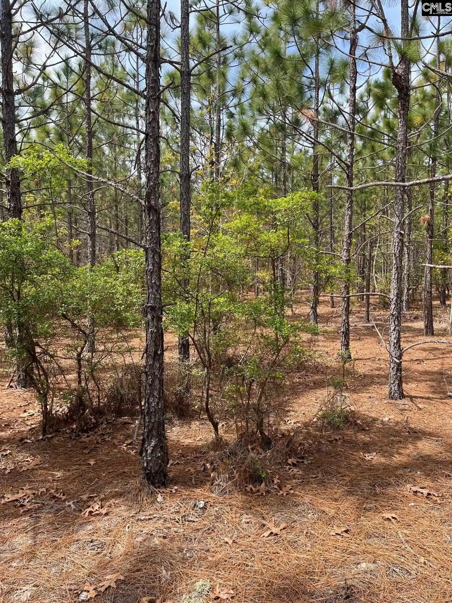 2nd image of Bdf 8 Beaverdam, Cassatt, SC 29032 | MLS# 632047