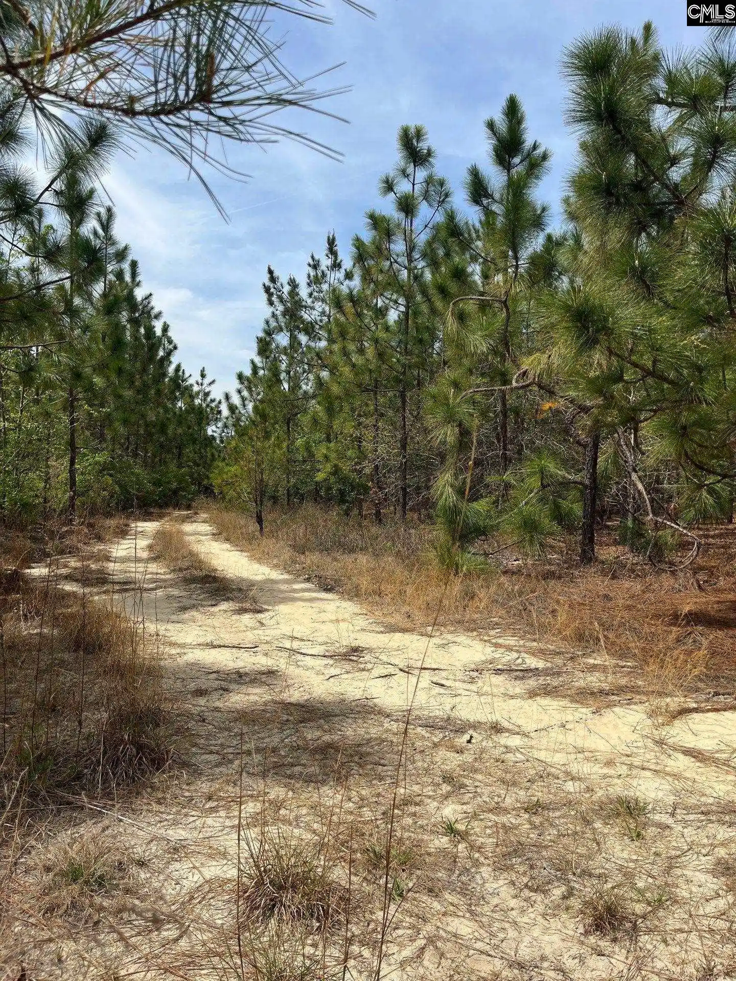 1st image of Bdf 9 Beaverdam, Cassatt, SC 29032 | MLS# 632049
