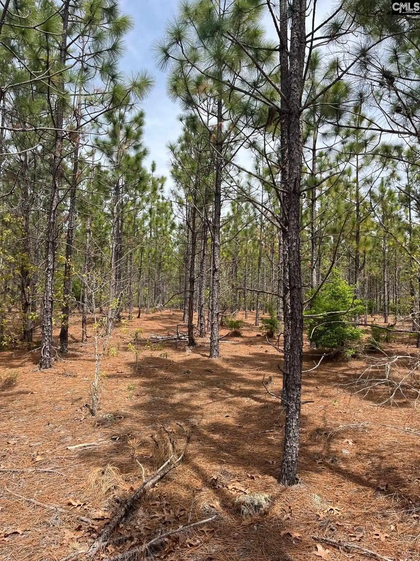 3rd image of Bdf 9 Beaverdam, Cassatt, SC 29032 | MLS# 632049