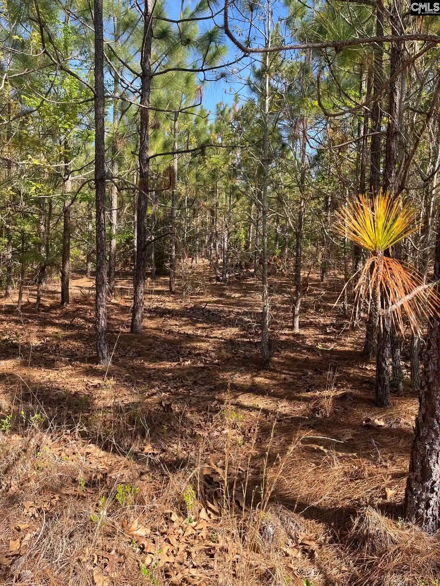 5th image of Bdf 9 Beaverdam, Cassatt, SC 29032 | MLS# 632049