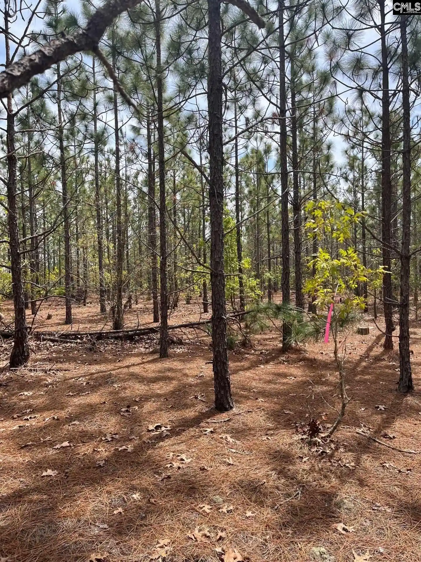 26th image of Bdf 9 Beaverdam, Cassatt, SC 29032 | MLS# 632049