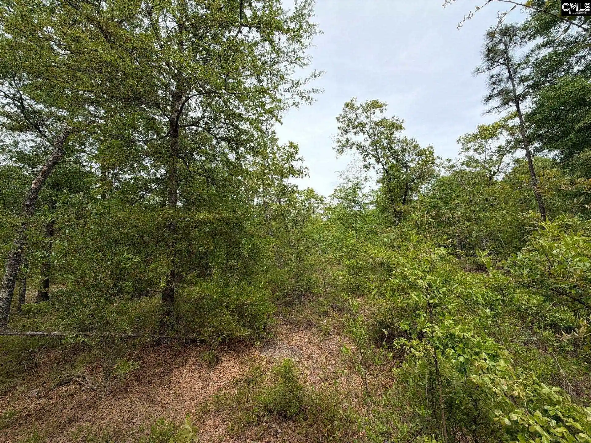 2nd image of Rrf 1 Rogers Cemetery, Salley, SC 29137 | MLS# 632110