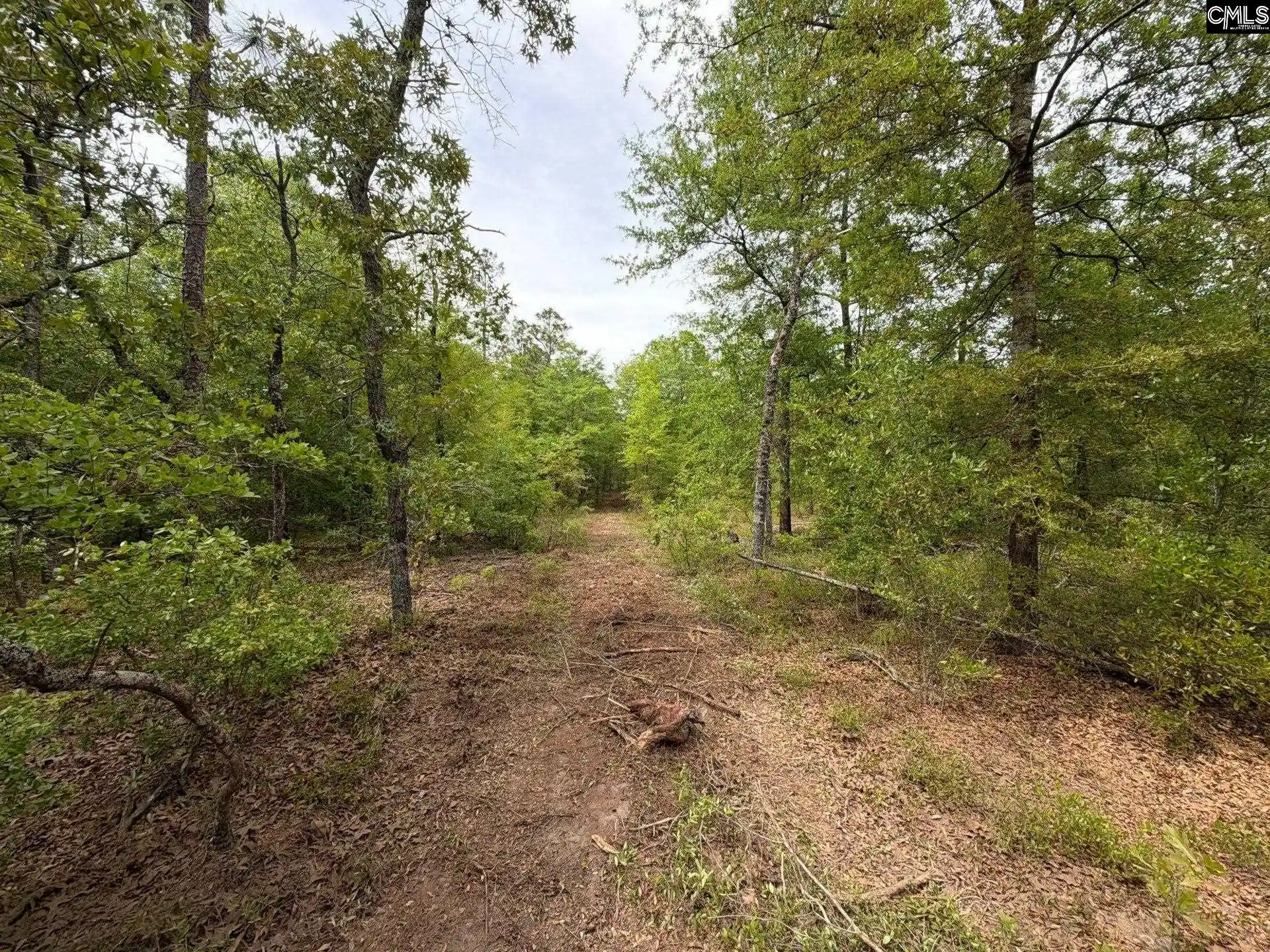 41st image of Rrf 1 Rogers Cemetery, Salley, SC 29137 | MLS# 632110