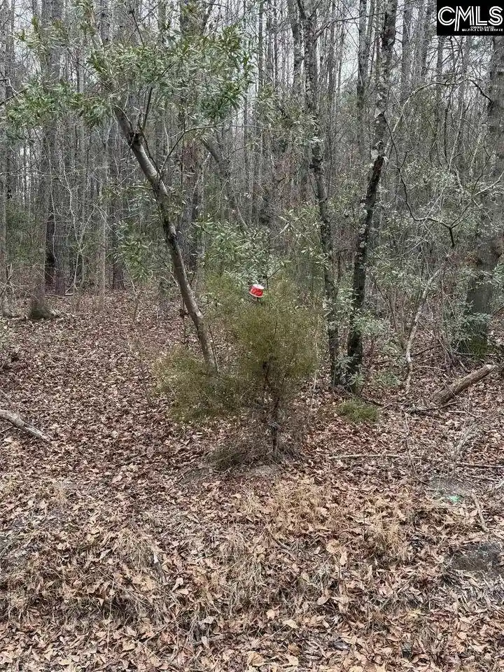 3rd image of 1644 Pincushion, Columbia, SC 29209 | MLS# 632326