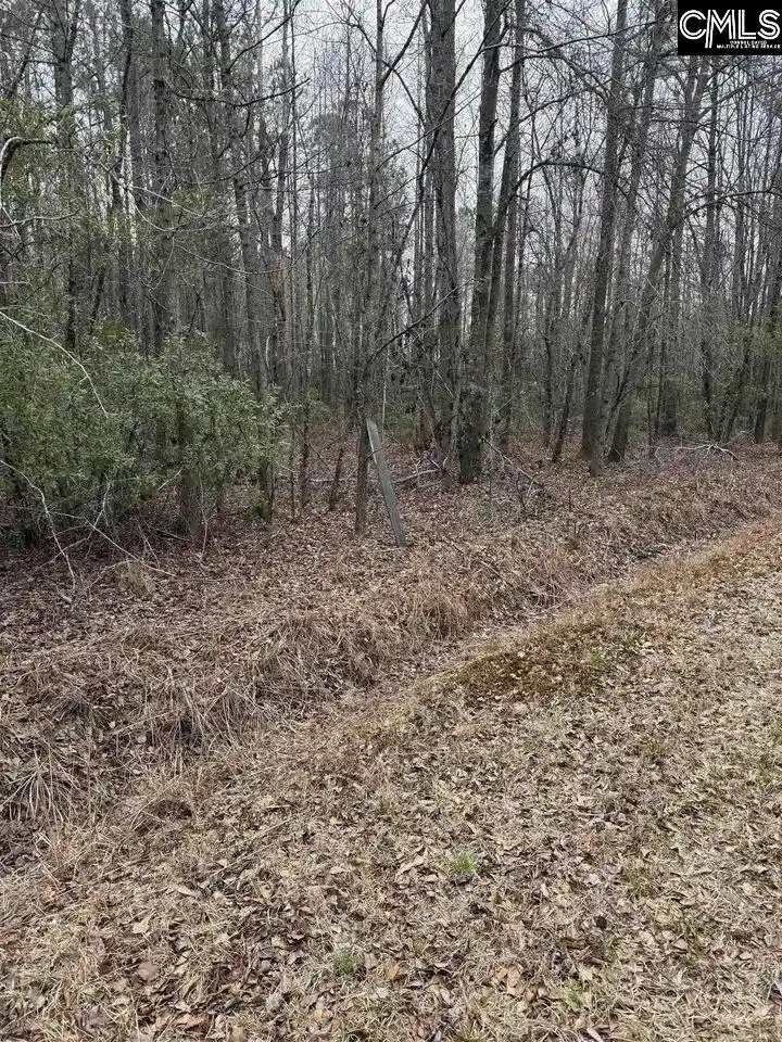 4th image of 1644 Pincushion, Columbia, SC 29209 | MLS# 632326