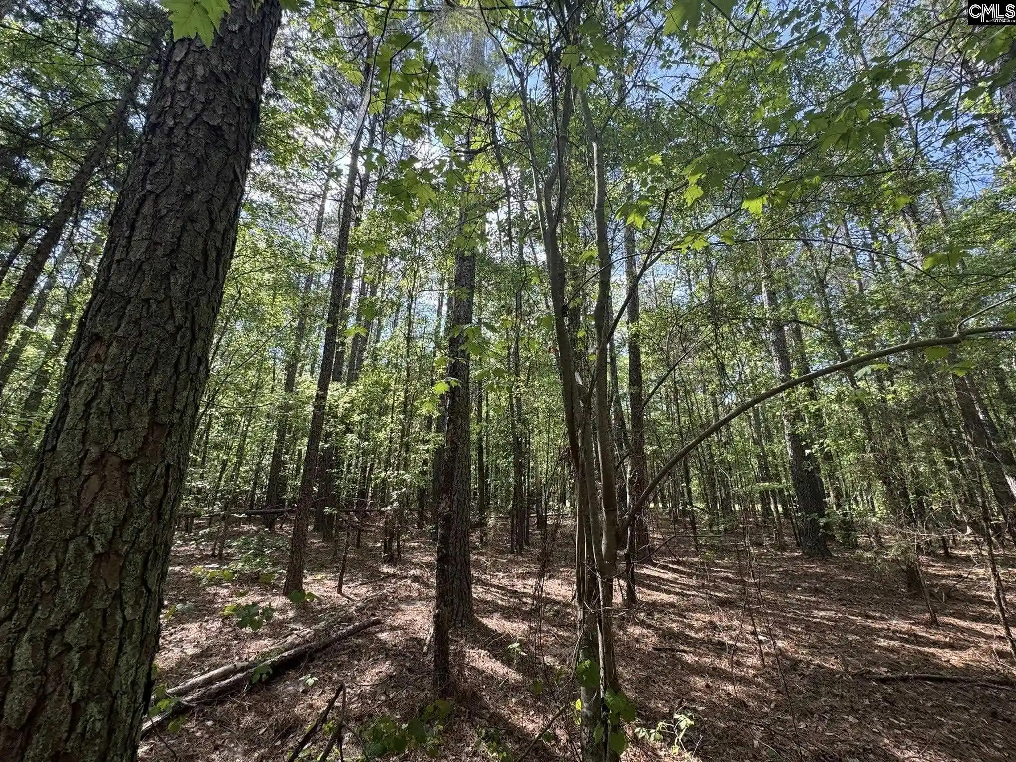 3rd image of Hwy 76 W, Honea Path, SC 29654 | MLS# 632393