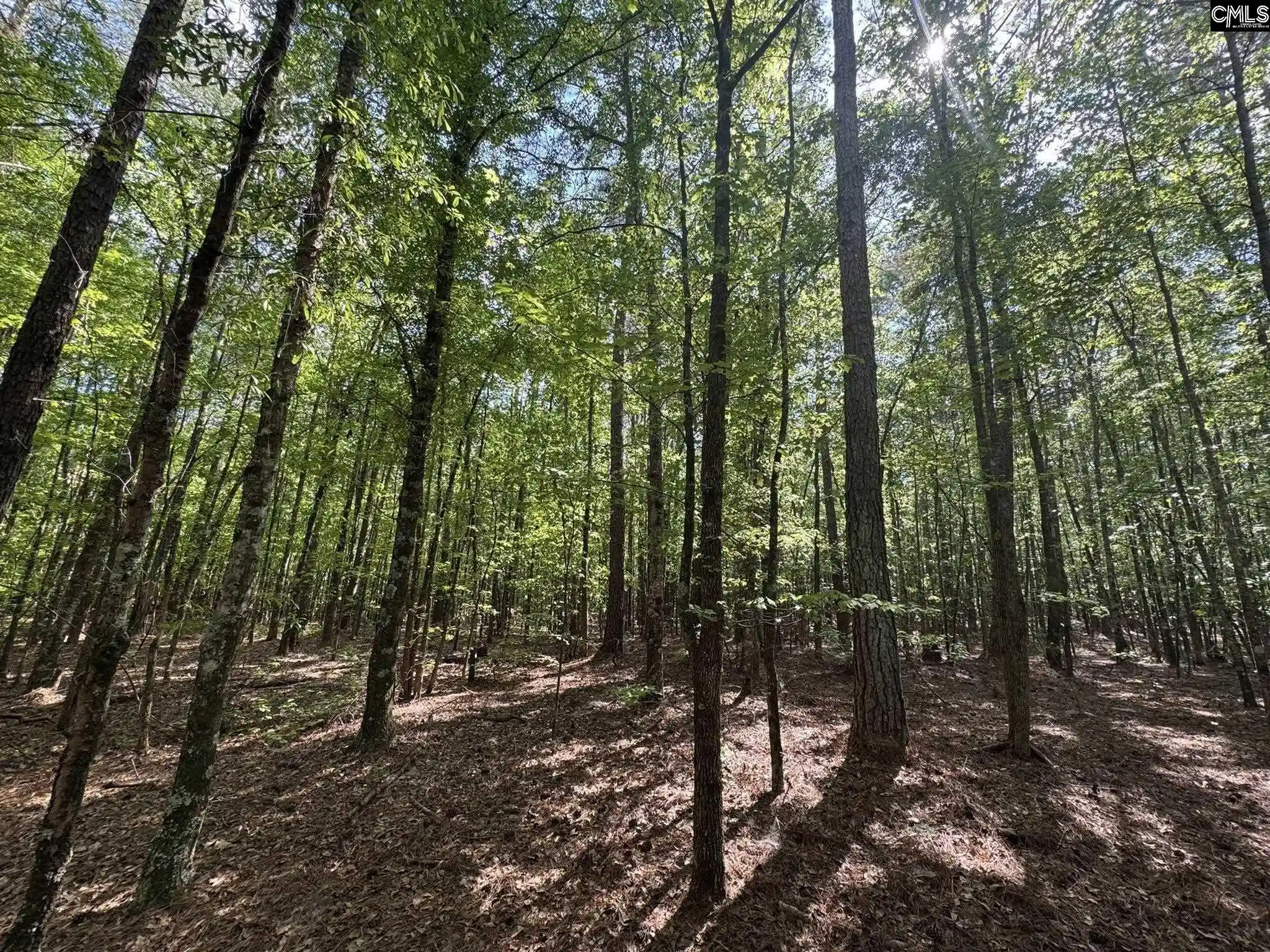 4th image of Hwy 76 W, Honea Path, SC 29654 | MLS# 632393