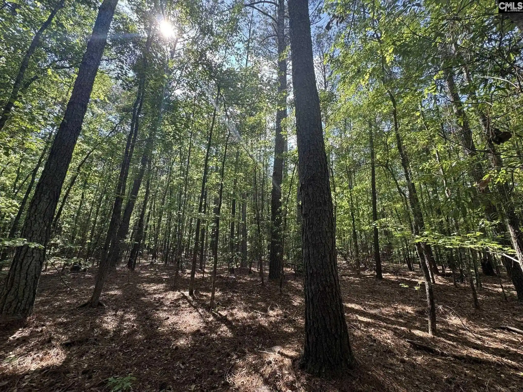 5th image of Hwy 76 W, Honea Path, SC 29654 | MLS# 632393