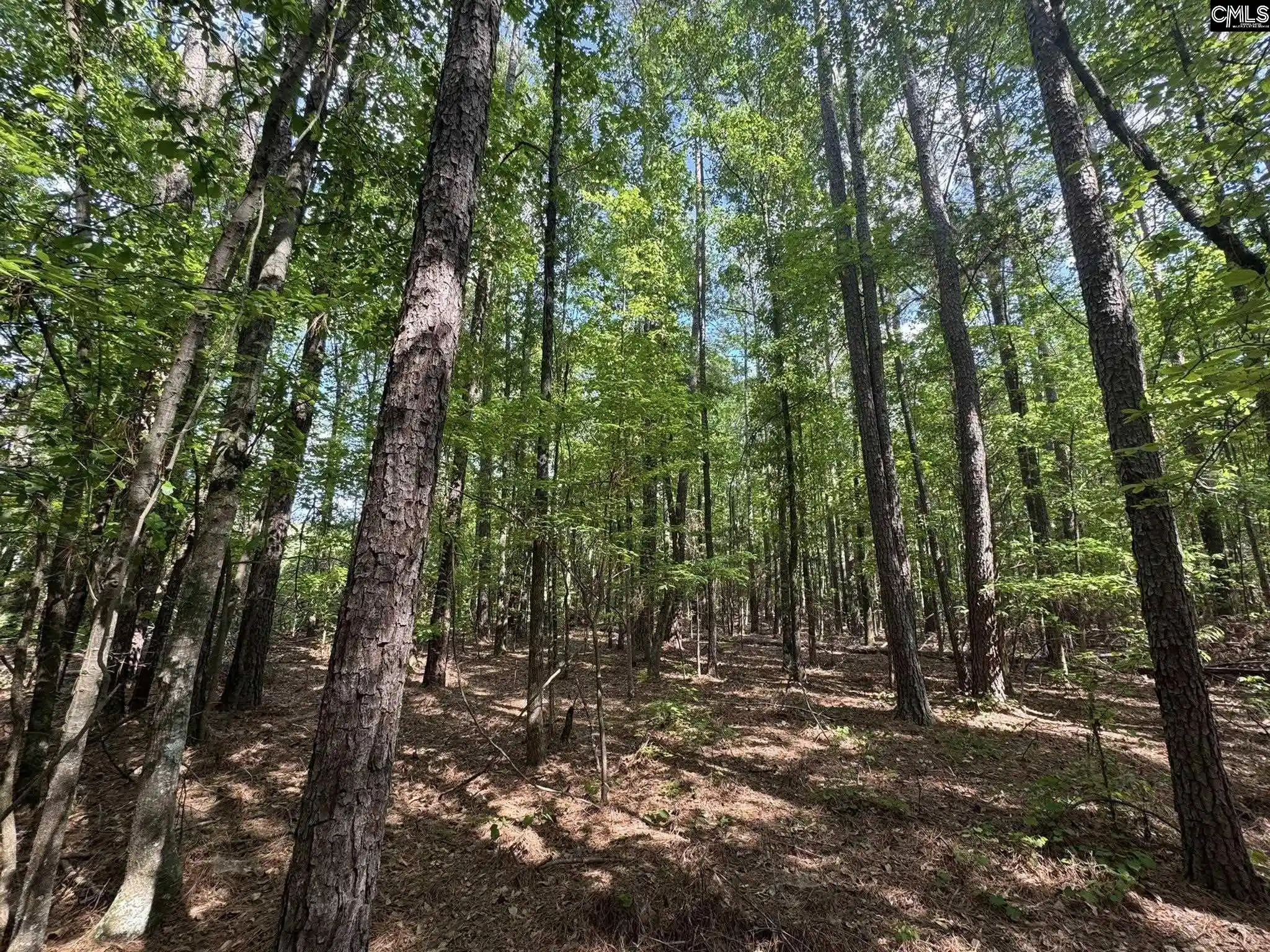 36th image of Hwy 76 W, Honea Path, SC 29654 | MLS# 632393