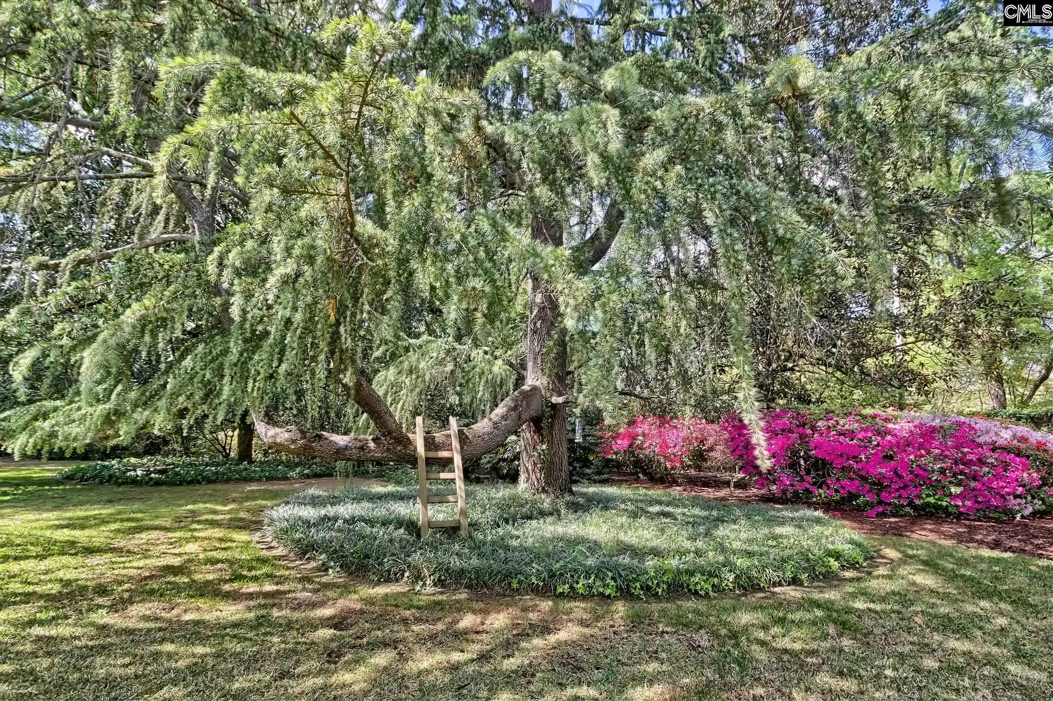 Photo 4 of Single family home for sale at 415 Harden, Columbia, SC 29205 | MLS# 632432 | Listing updated on 2026-06-30