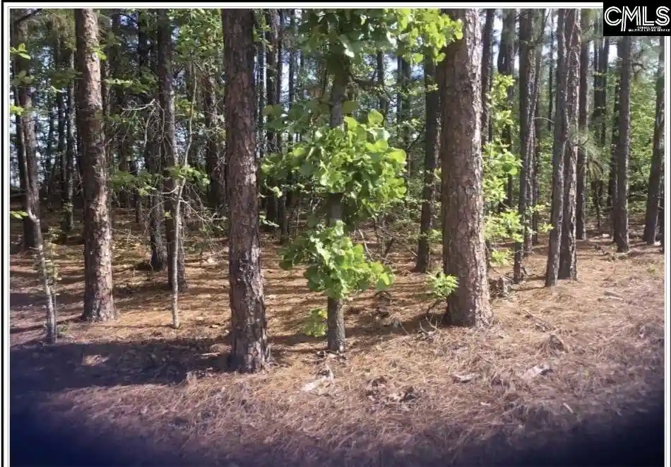 1st image of N/s Percival, Columbia, SC 29229 | MLS# 632504