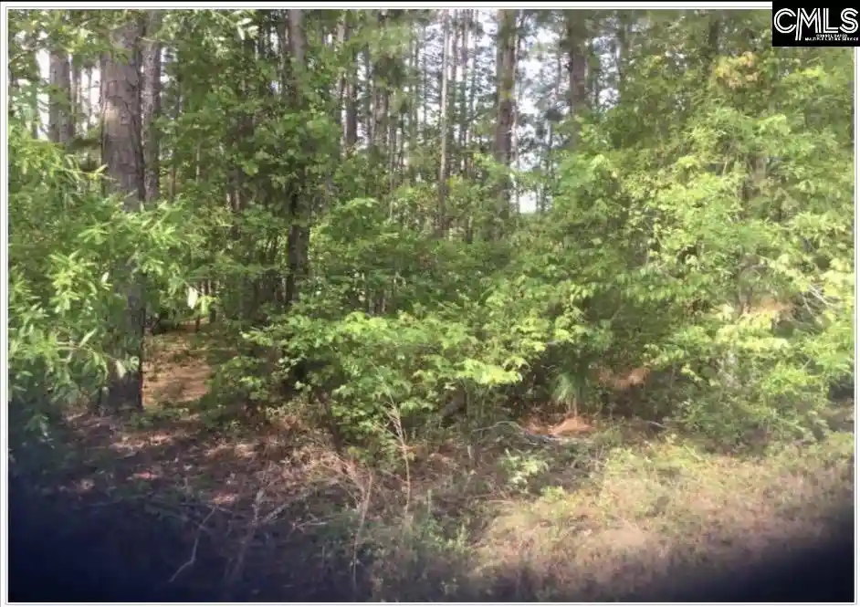 2nd image of N/s Percival, Columbia, SC 29229 | MLS# 632504