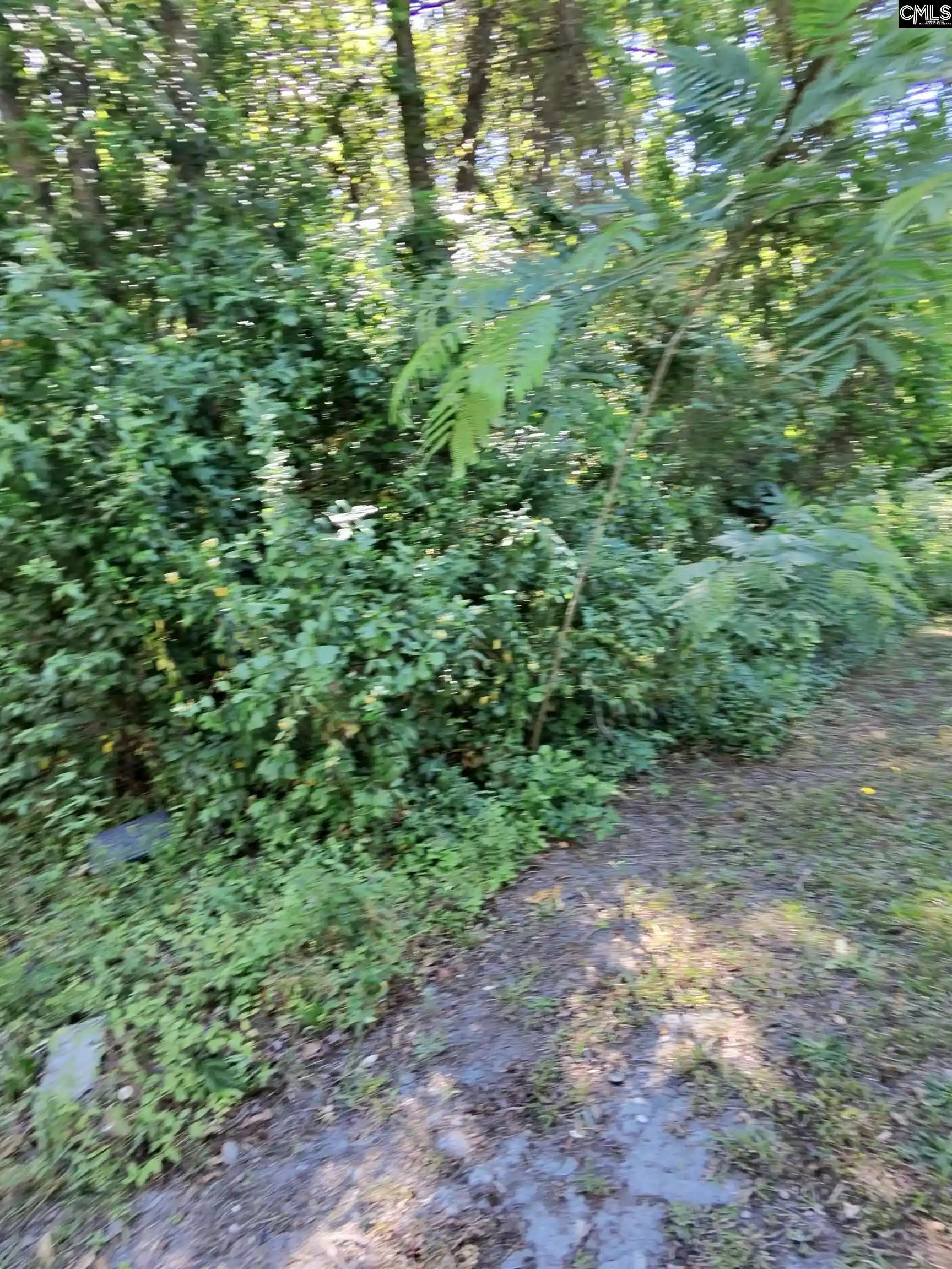 2nd image of Tbd Lang, Columbia, SC 29204 | MLS# 632523