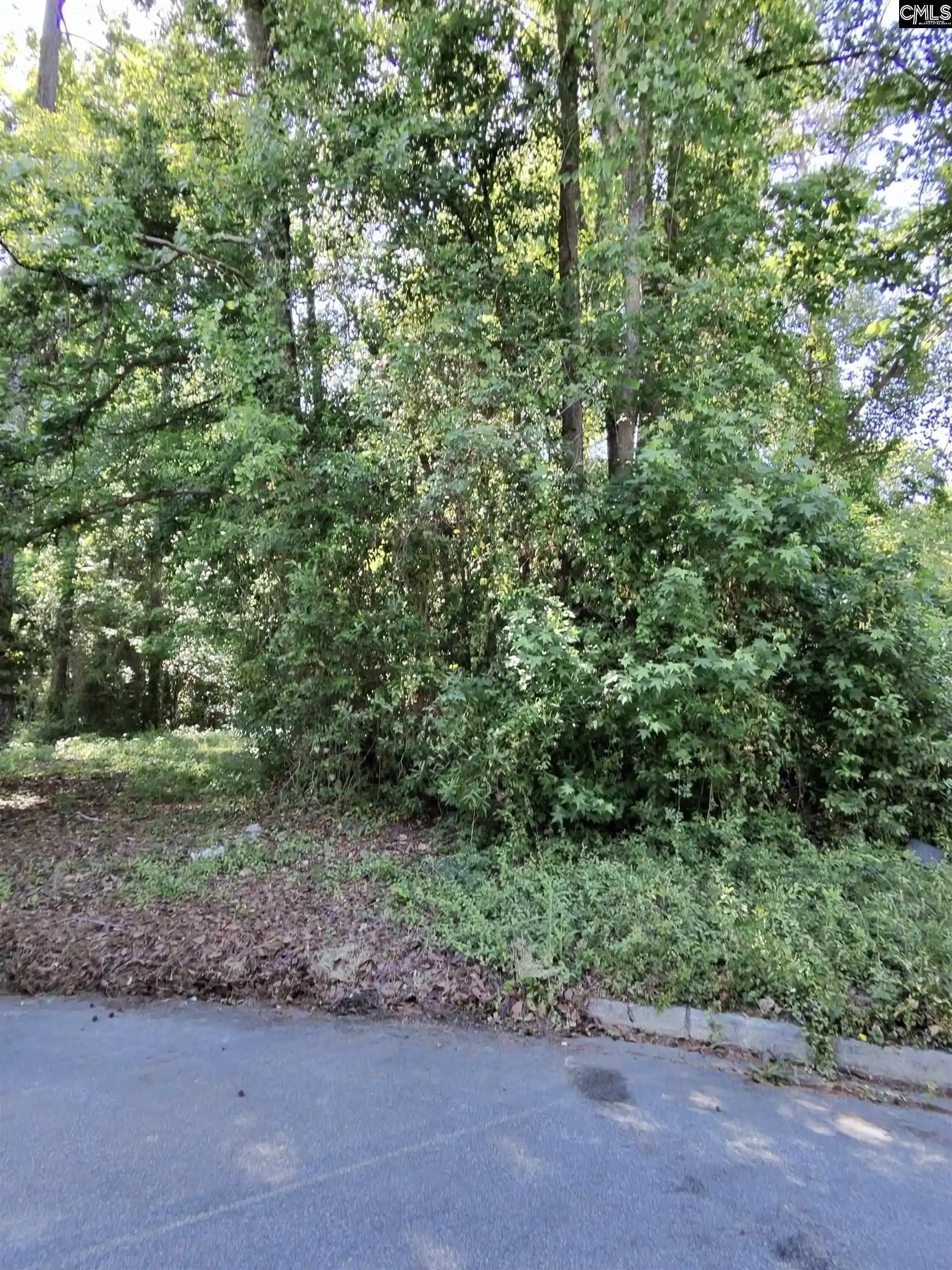 Photo 3 of Land for sale at Tbd Lang, Columbia, SC 29204 | MLS# 632523 | Listing updated on 2026-04-28