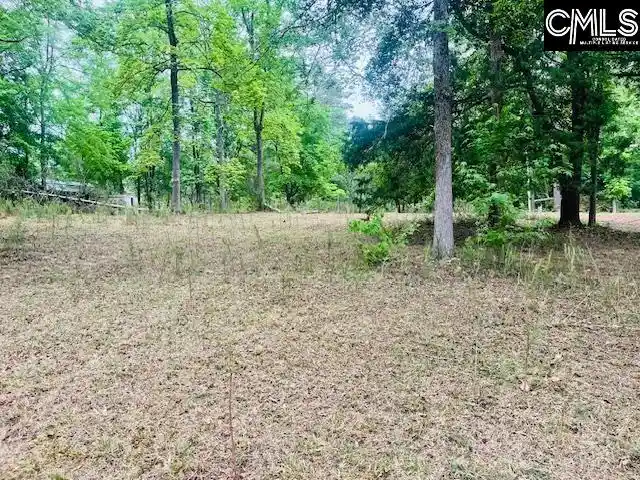 Homes for sale in Leesville, SC | 1172 Lake, Leesville, SC 29070 | MLS# 632741