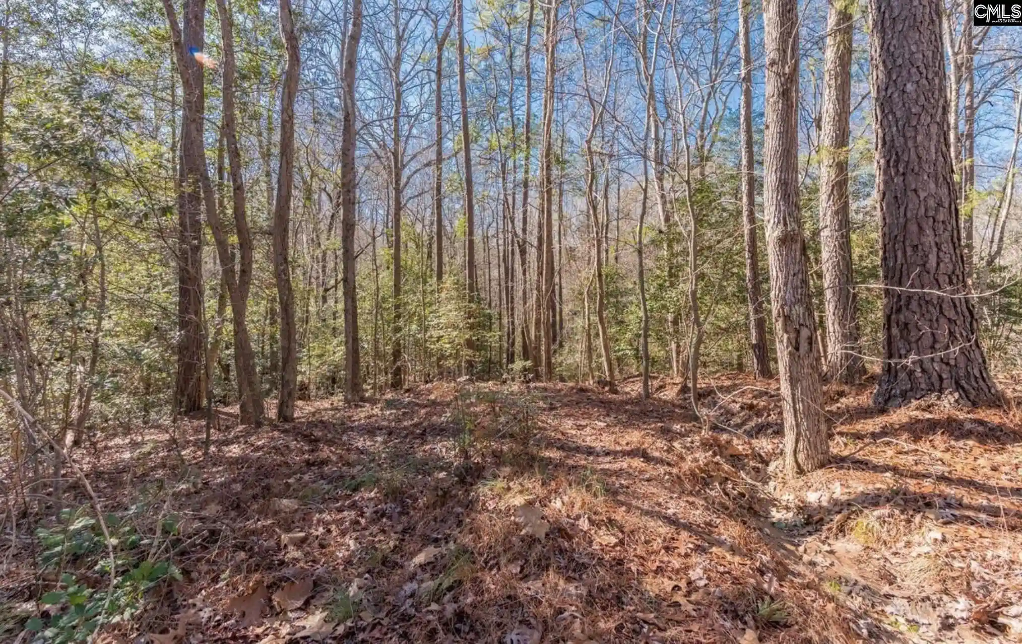 1st image of 0 Morgan, Lexington, SC 29072 | MLS# 632826