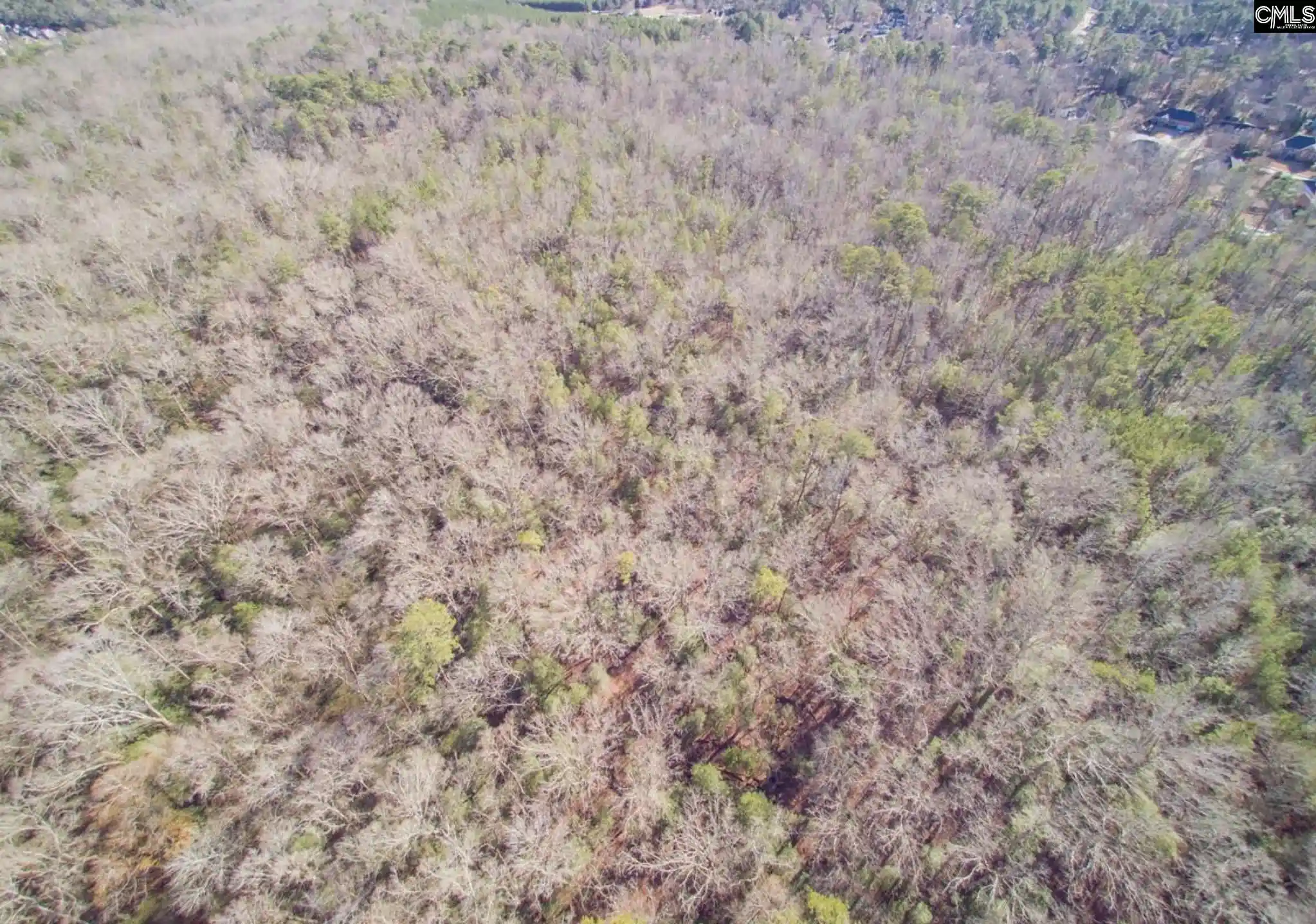 3rd image of 0 Morgan, Lexington, SC 29072 | MLS# 632826