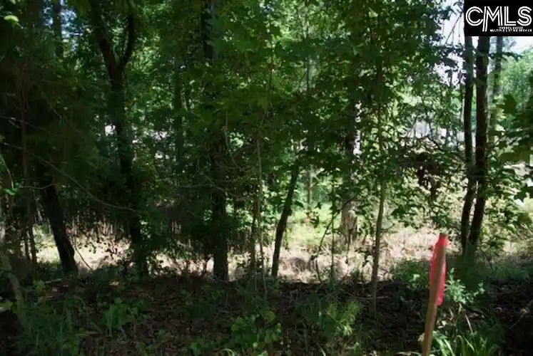 Homes for sale in Prosperity, SC | 415 Alice Harris Road, Prosperity, SC 29127 | MLS# 632829