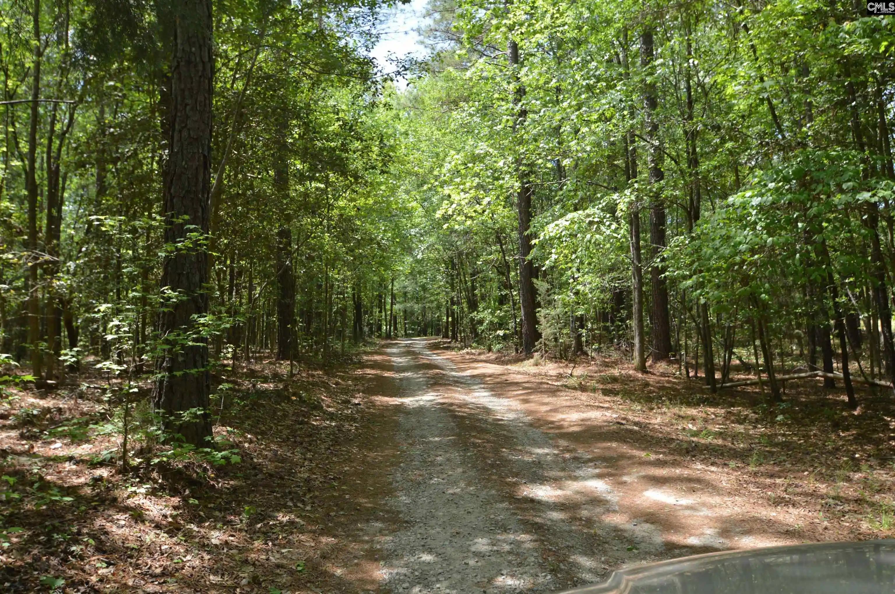 3rd image of 388 Sessions, Elgin, SC 29045 | MLS# 633065