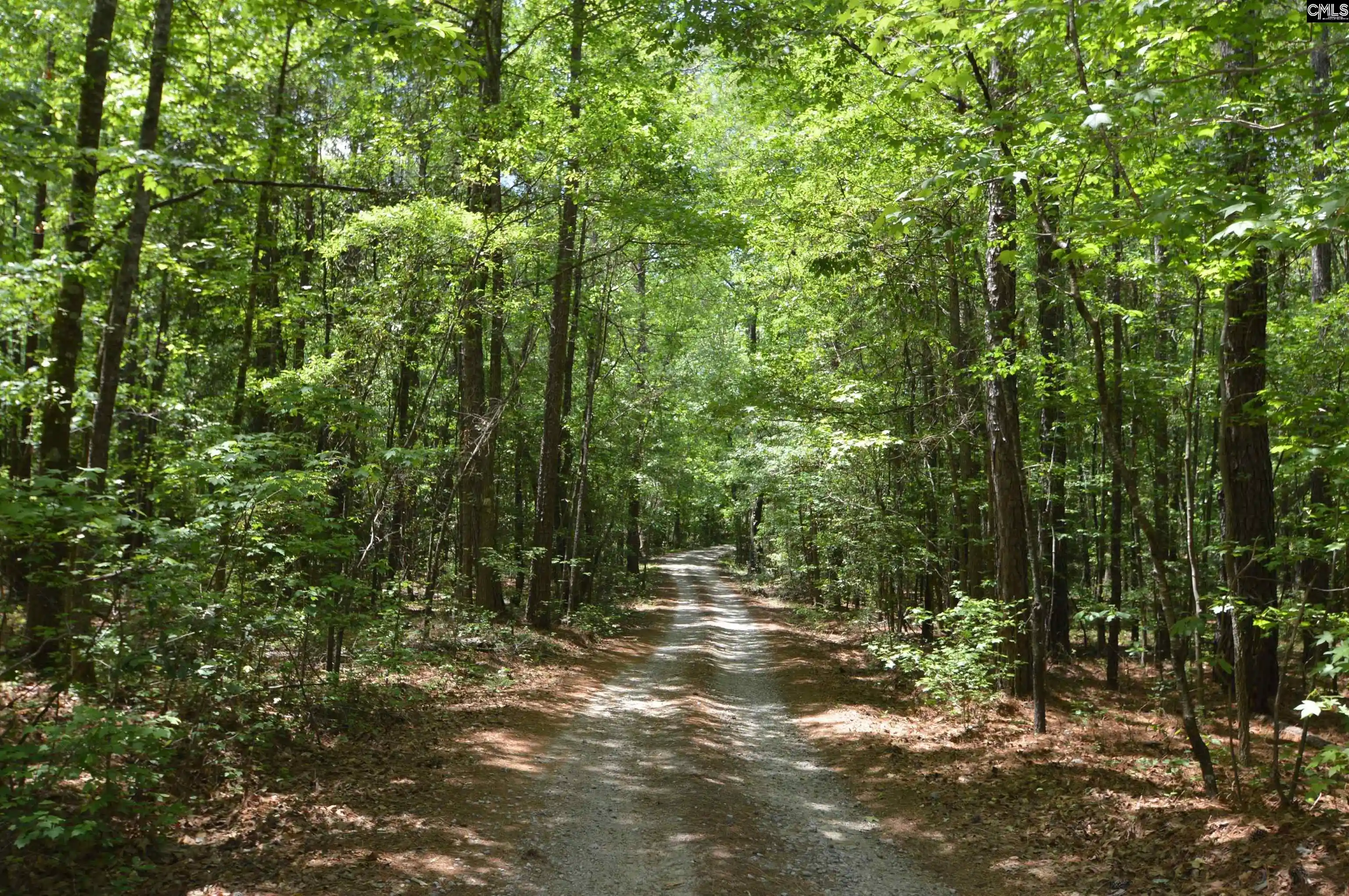4th image of 388 Sessions, Elgin, SC 29045 | MLS# 633065