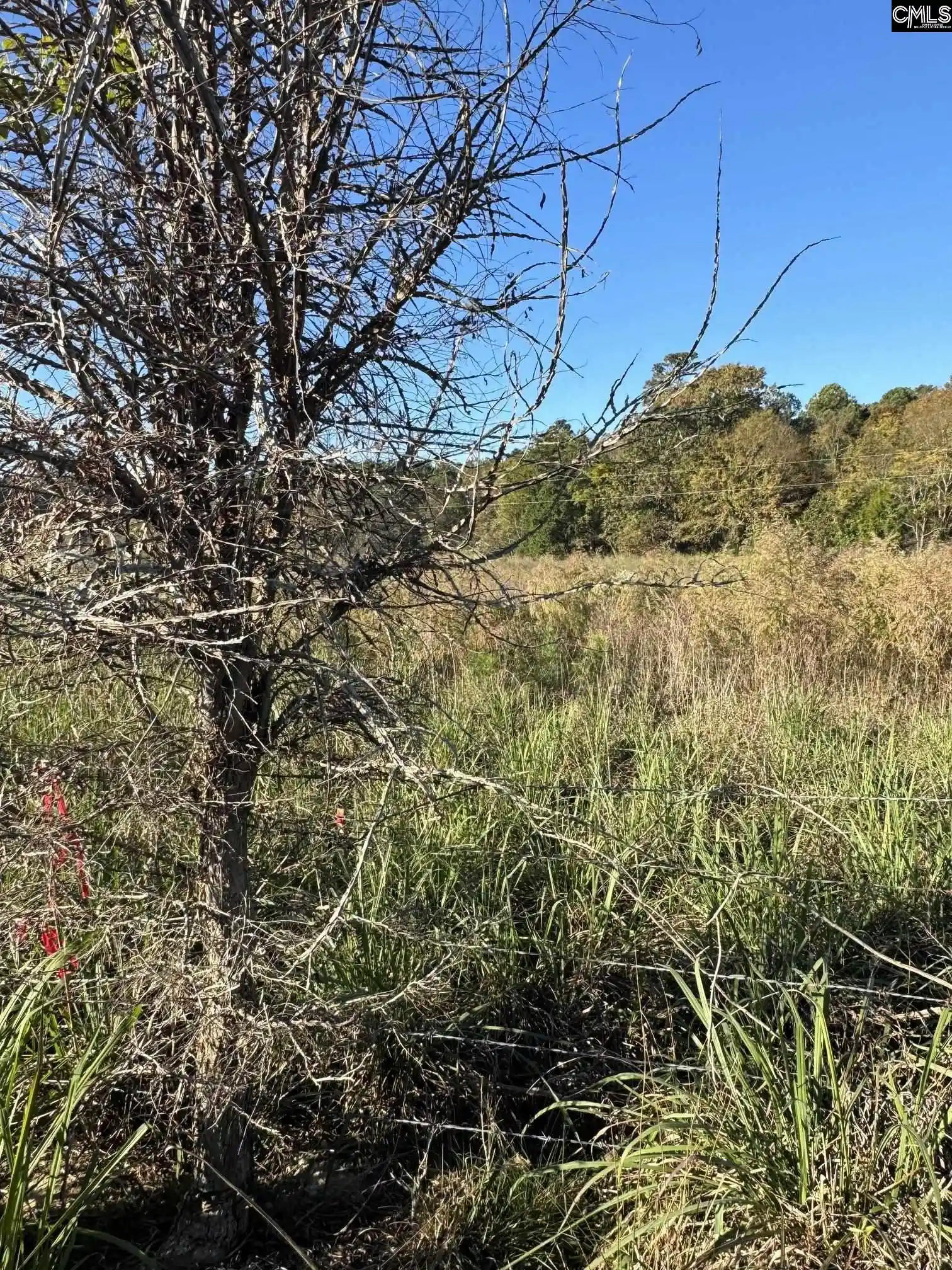 Photo 1 of Land for sale at 0 Amicks Ferry, Chapin, SC 29036 | MLS# 633105 | Listing updated on 2026-05-04