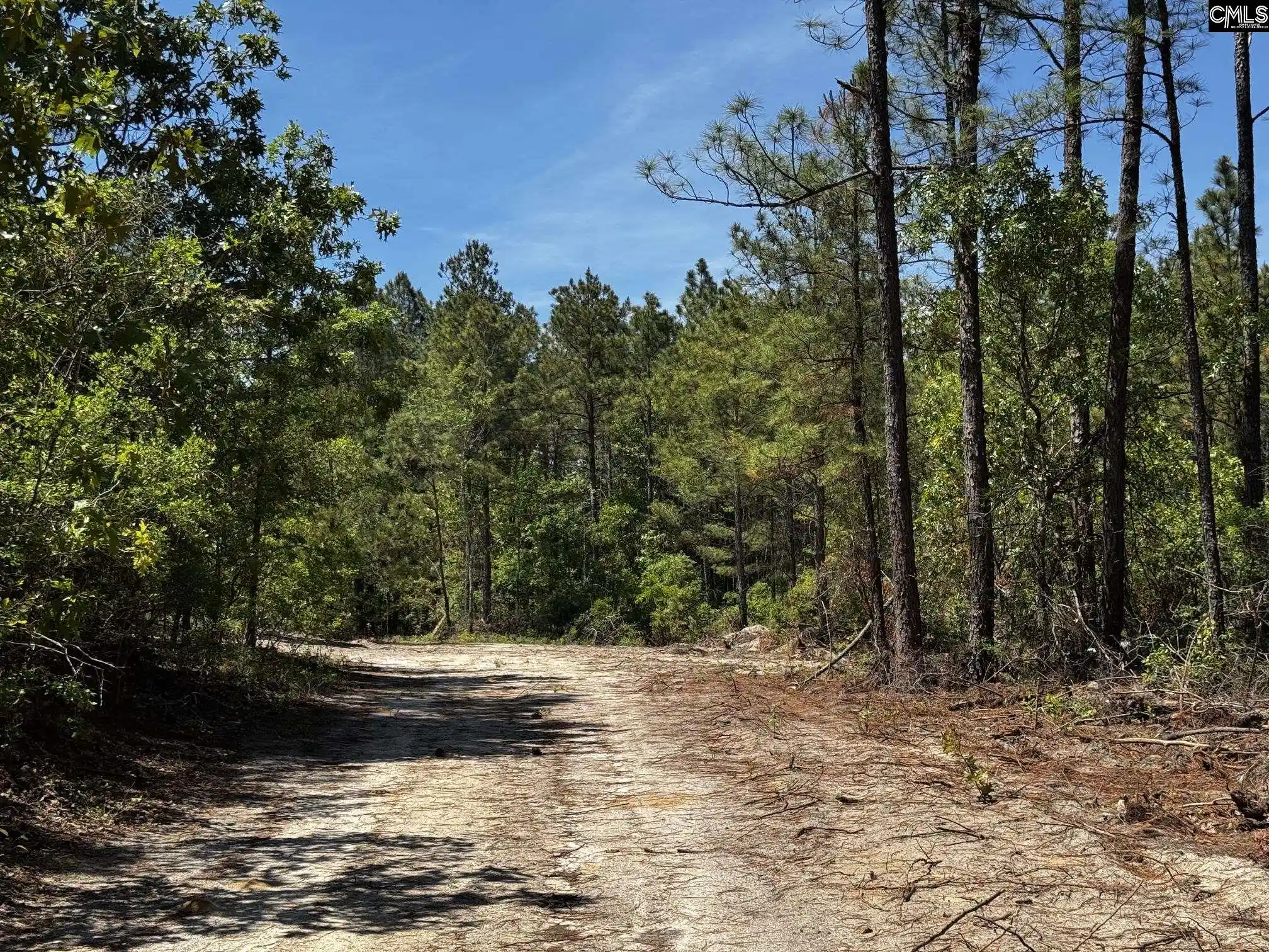 Homes for sale in Monetta, SC | 0 Sawyer, Monetta, SC 29105 | MLS# 633215