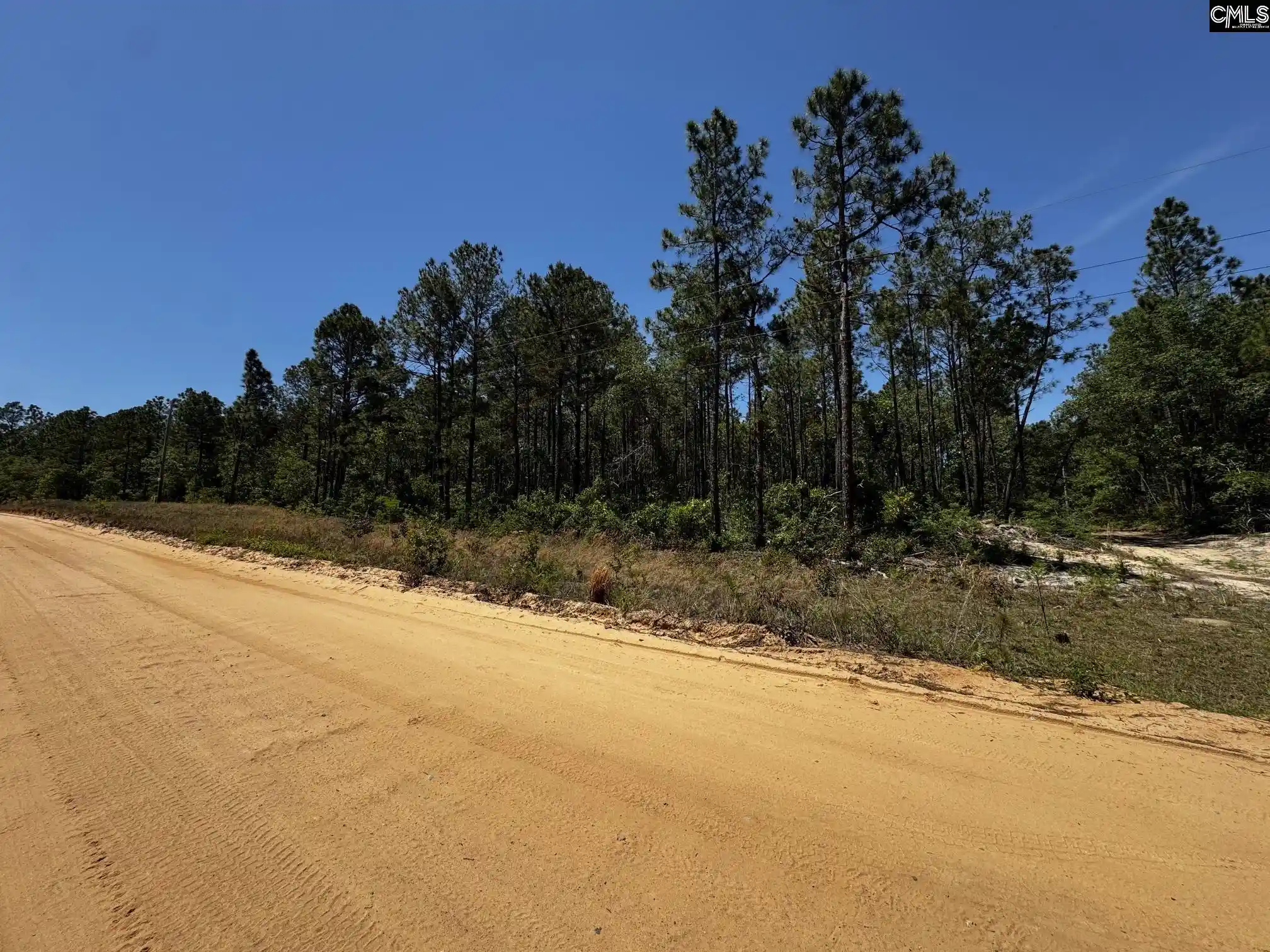 Homes for sale in Monetta, SC | 0 Sawyer, Monetta, SC 29105 | MLS# 633215