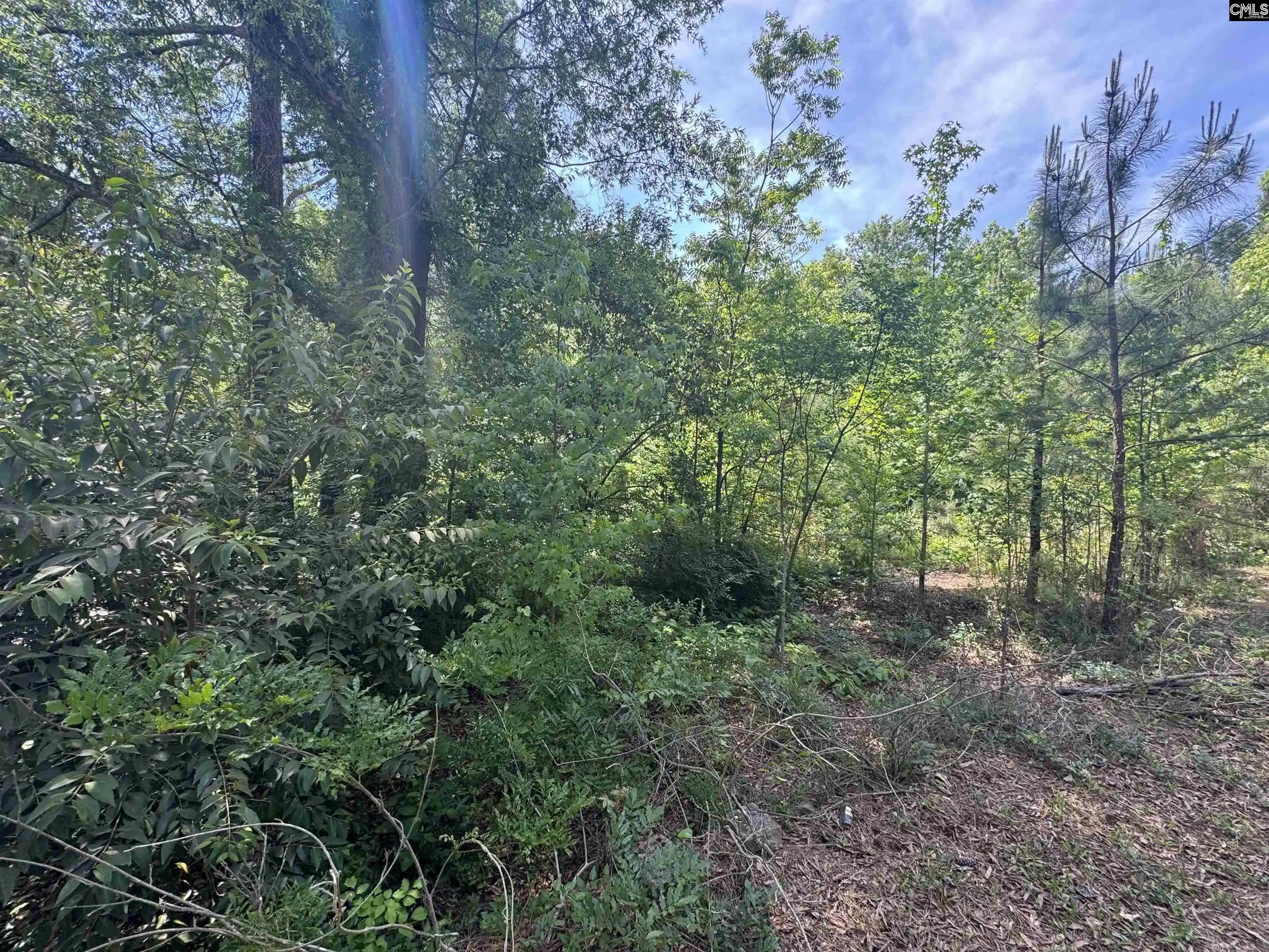 2nd image of 1331 Boston, Columbia, SC 29203 | MLS# 633256