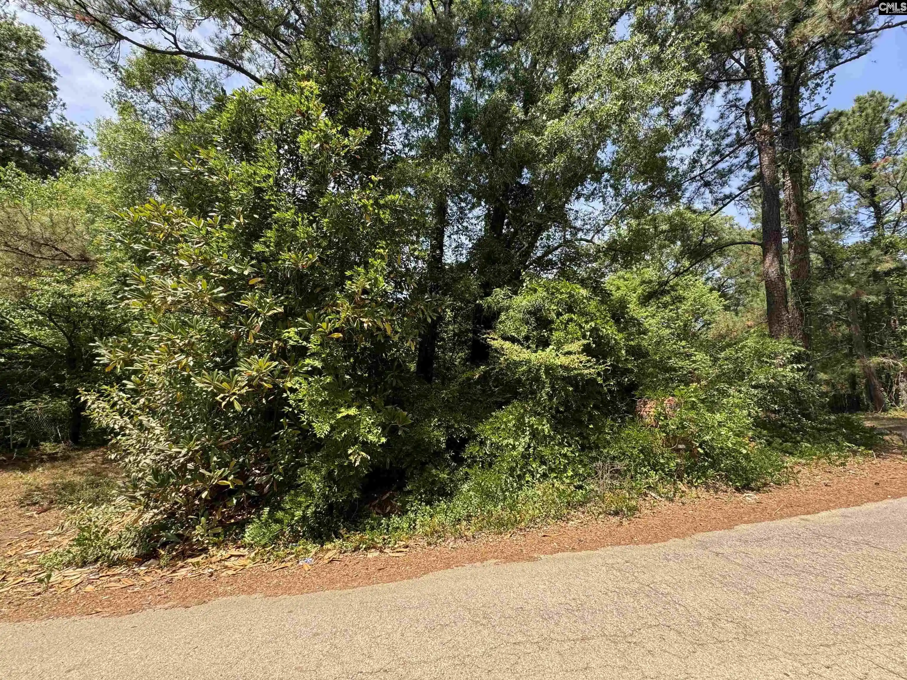3rd image of 1331 Boston, Columbia, SC 29203 | MLS# 633256