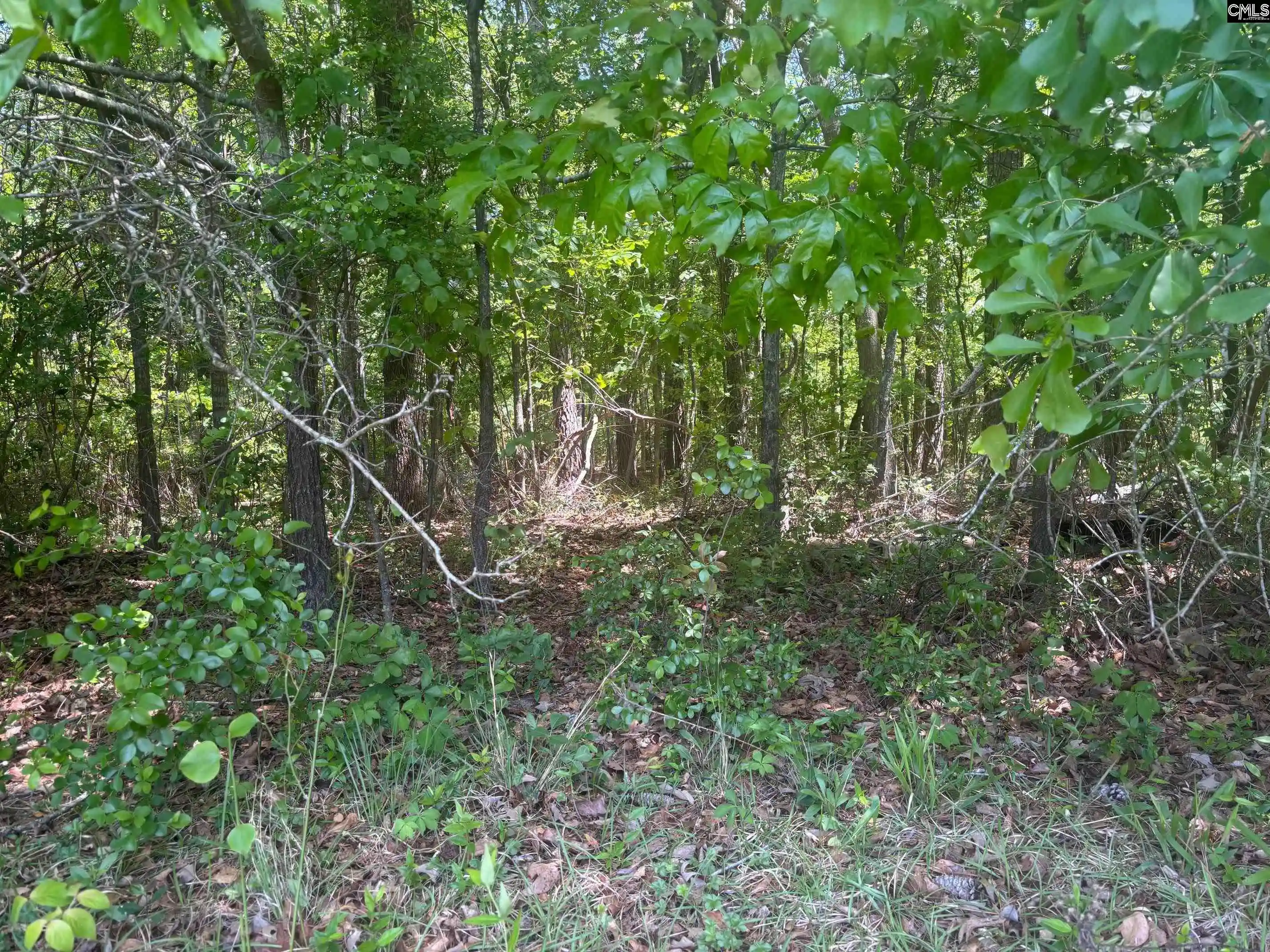 Photo 3 of Land for sale at 2206 Hwy 1, Elgin, SC 29045 | MLS# 633286 | Listing updated on 2026-05-05