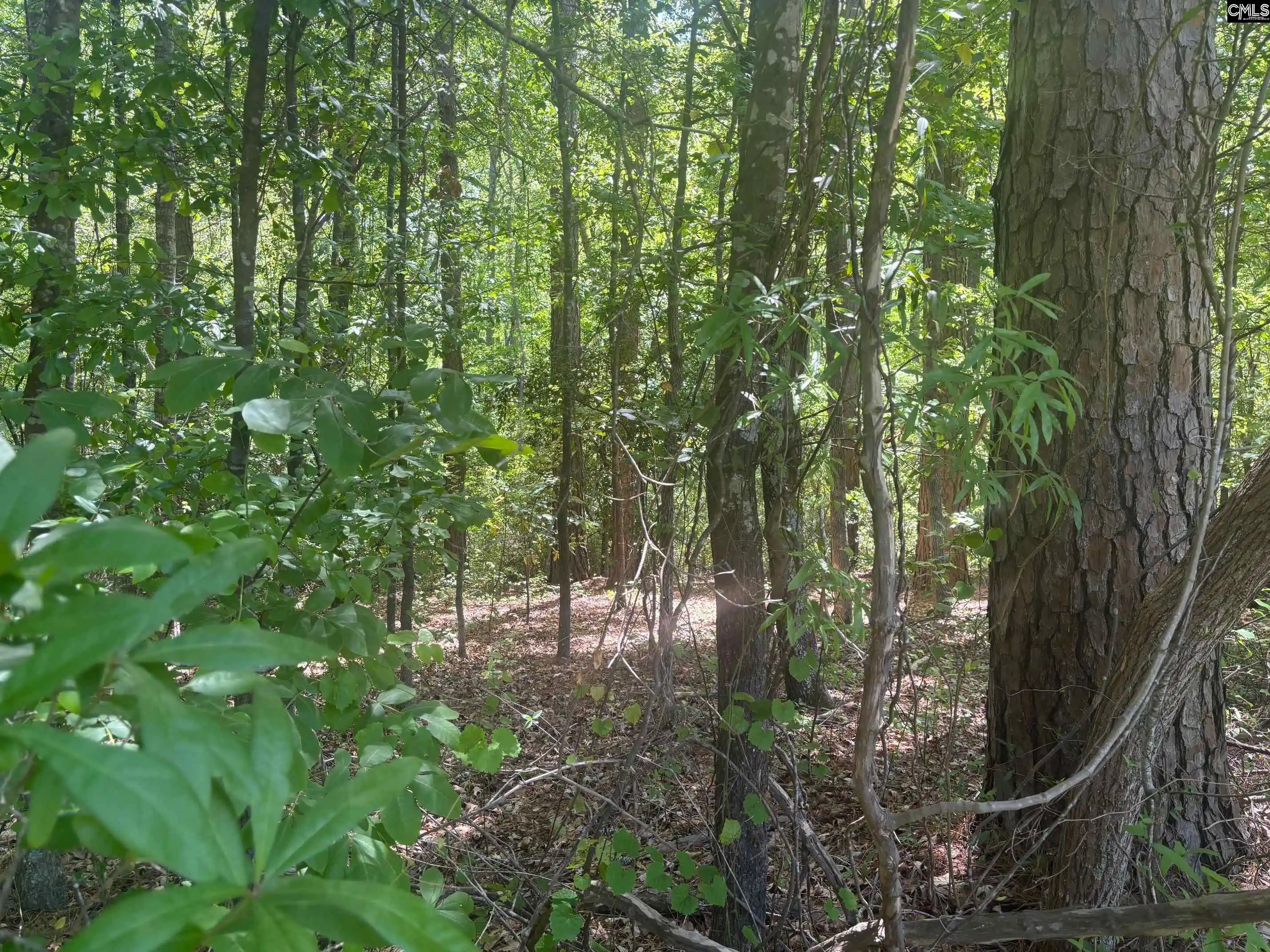 Photo 4 of Land for sale at 2206 Hwy 1, Elgin, SC 29045 | MLS# 633286 | Listing updated on 2026-05-05