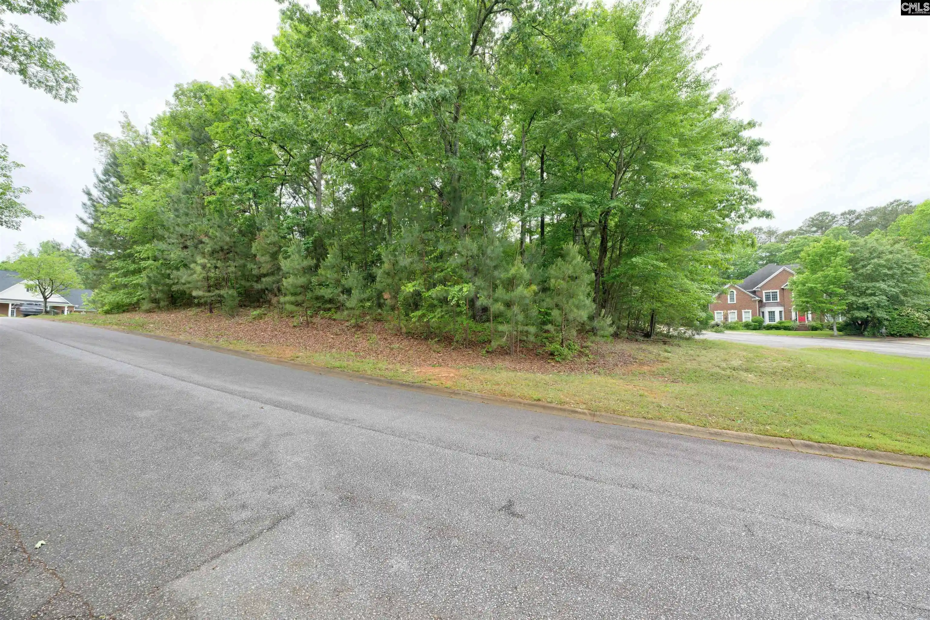 Homes for sale in Irmo, SC | 1 Aderley, Irmo, SC 29063 | MLS# 633293