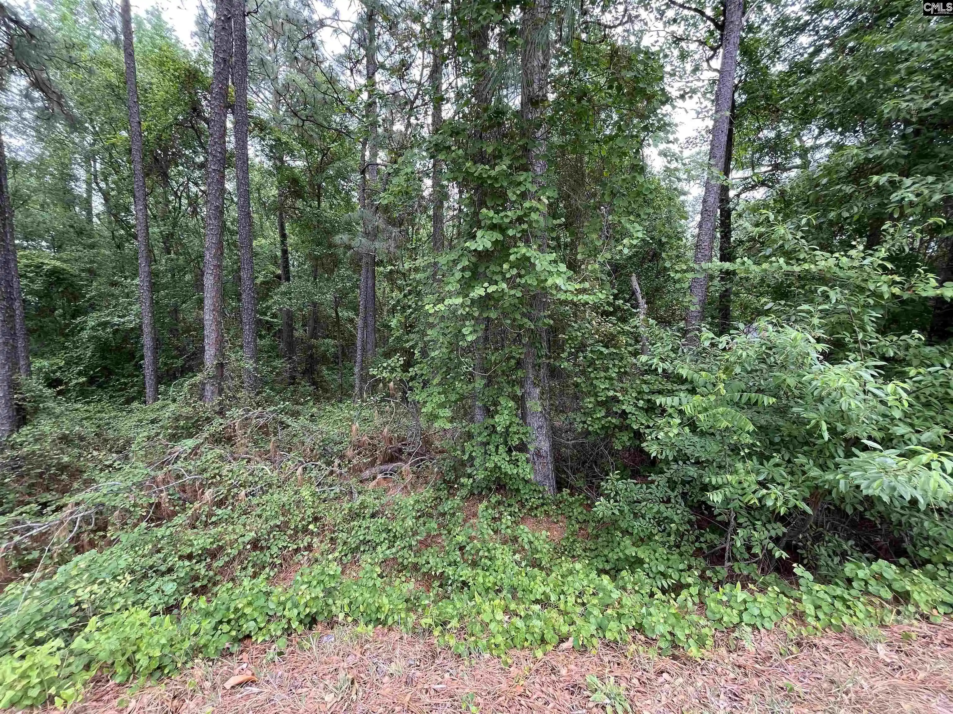 3rd image of 7008 Monticello, Columbia, SC 29203 | MLS# 633360