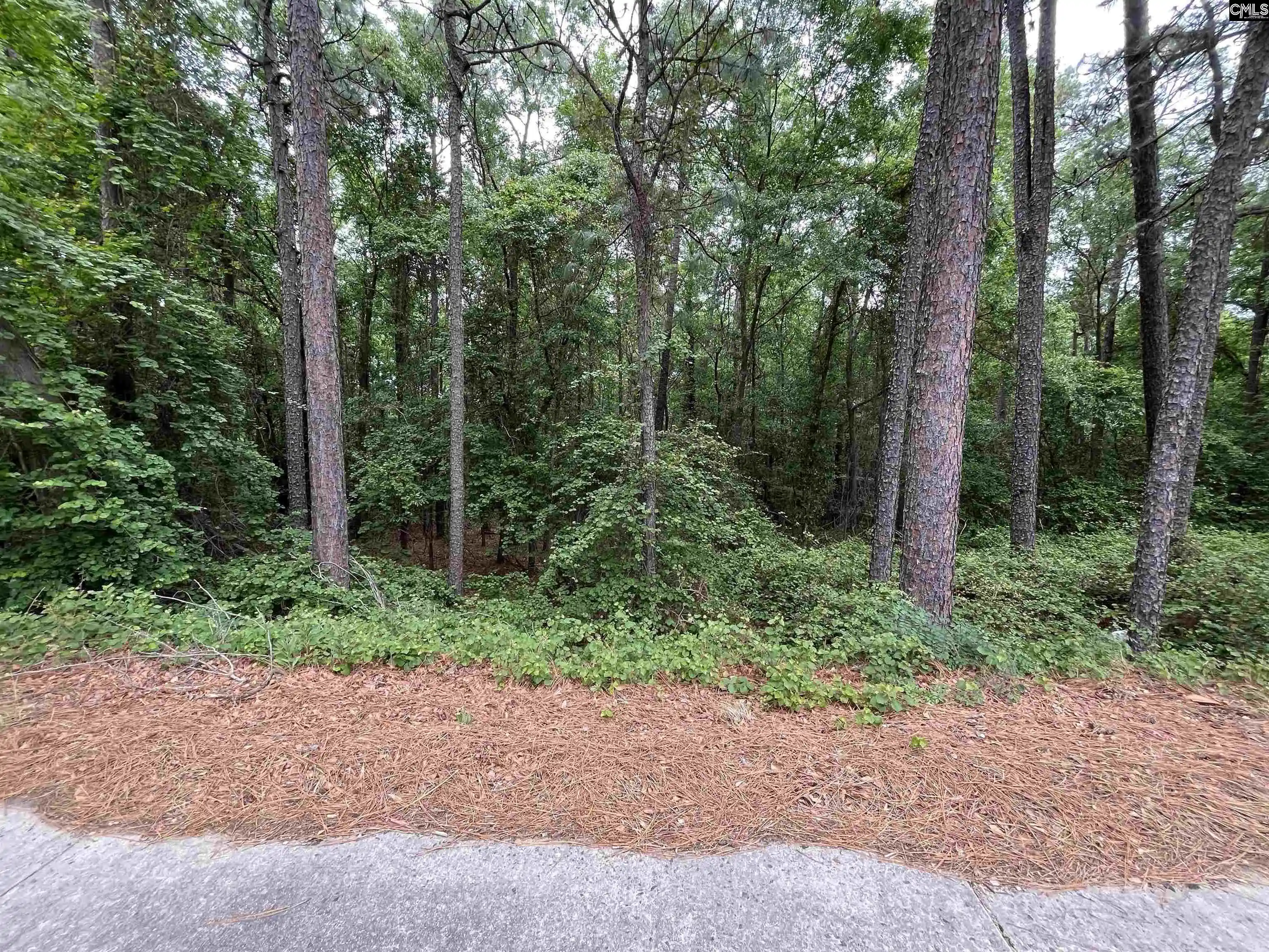 4th image of 7008 Monticello, Columbia, SC 29203 | MLS# 633360