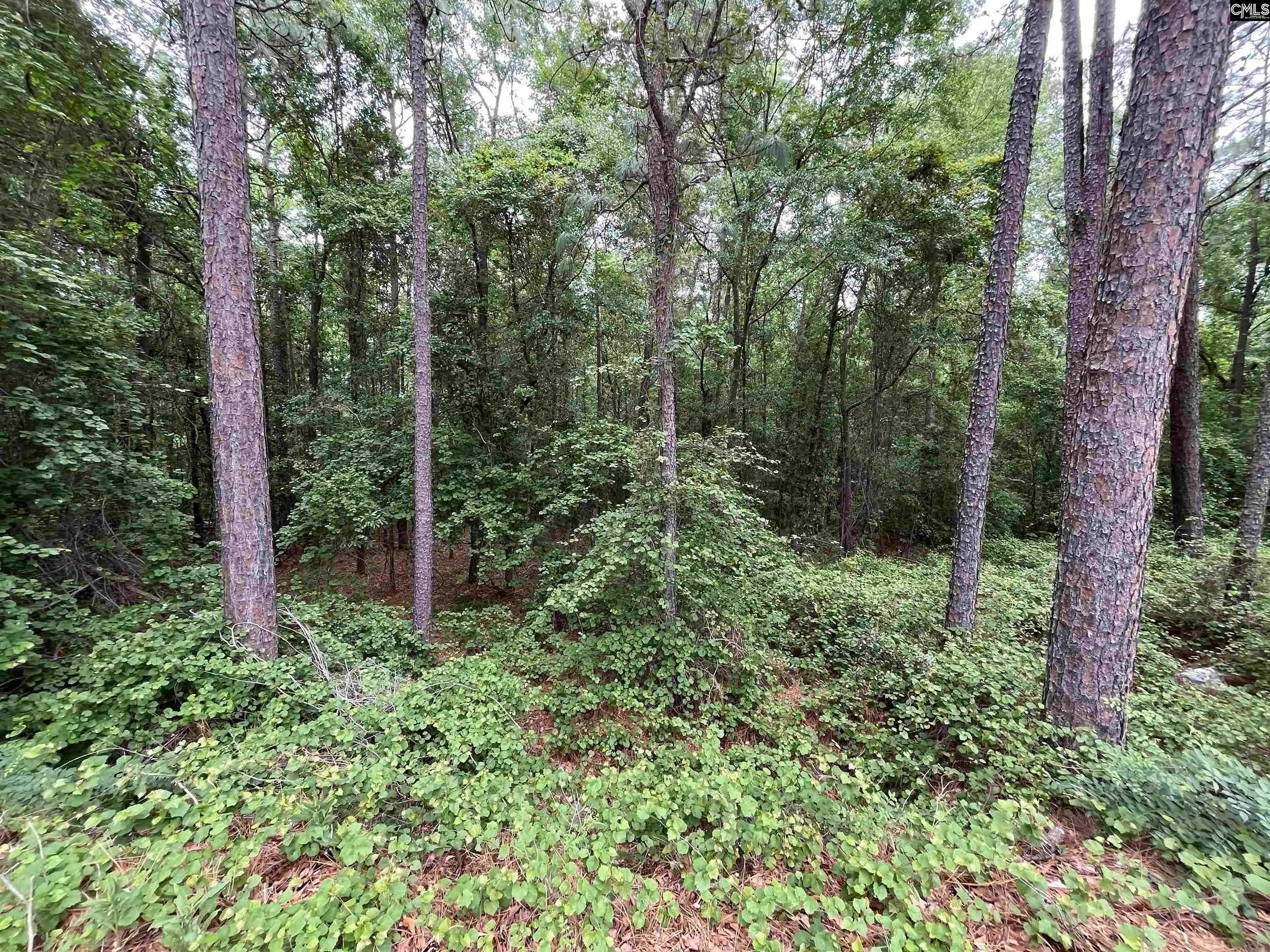 5th image of 7008 Monticello, Columbia, SC 29203 | MLS# 633360