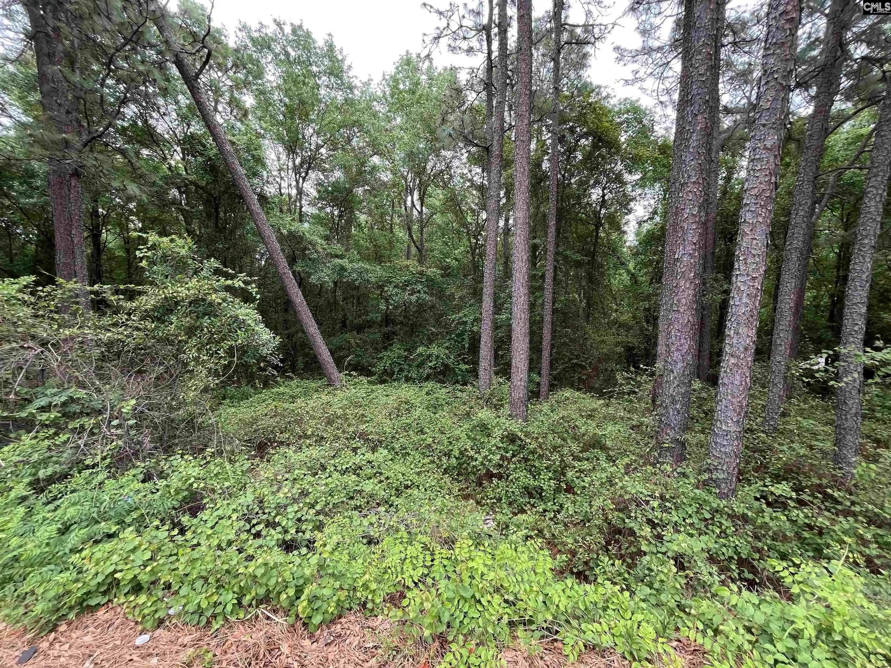 6th image of 7008 Monticello, Columbia, SC 29203 | MLS# 633360