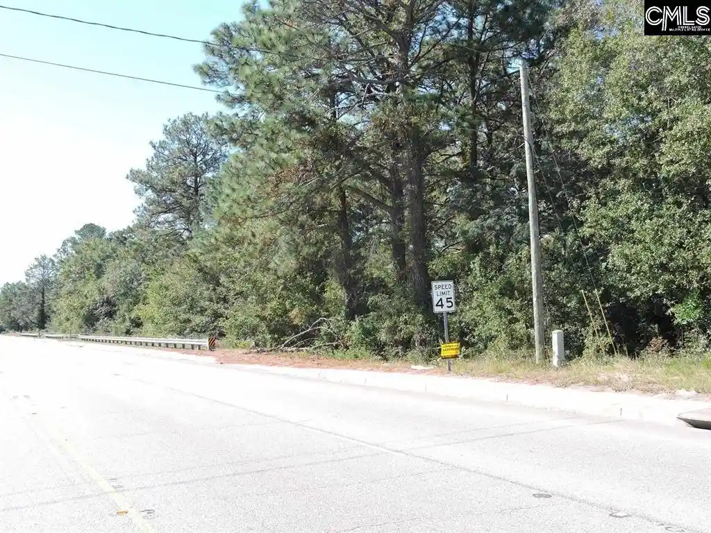 3rd image of 1250 South Lake Dr, Lexington, SC 29073 | MLS# 633364