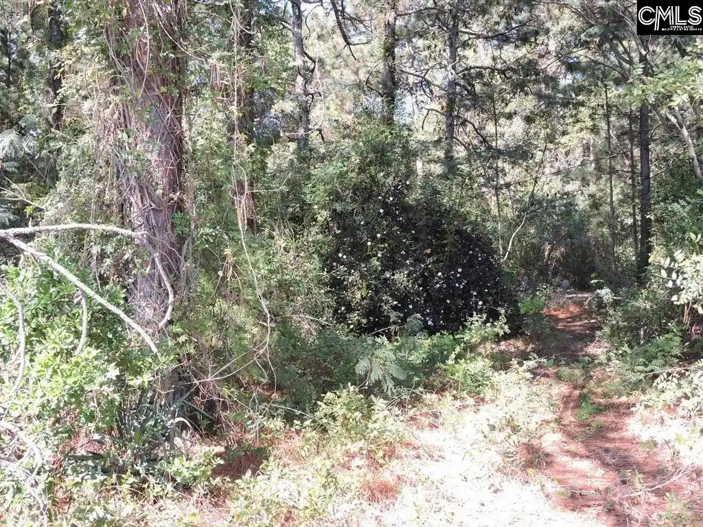 5th image of 1250 South Lake Dr, Lexington, SC 29073 | MLS# 633364