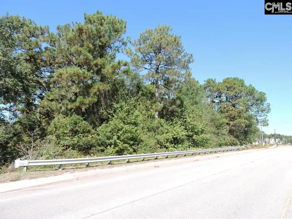 10th image of 1250 South Lake Dr, Lexington, SC 29073 | MLS# 633364
