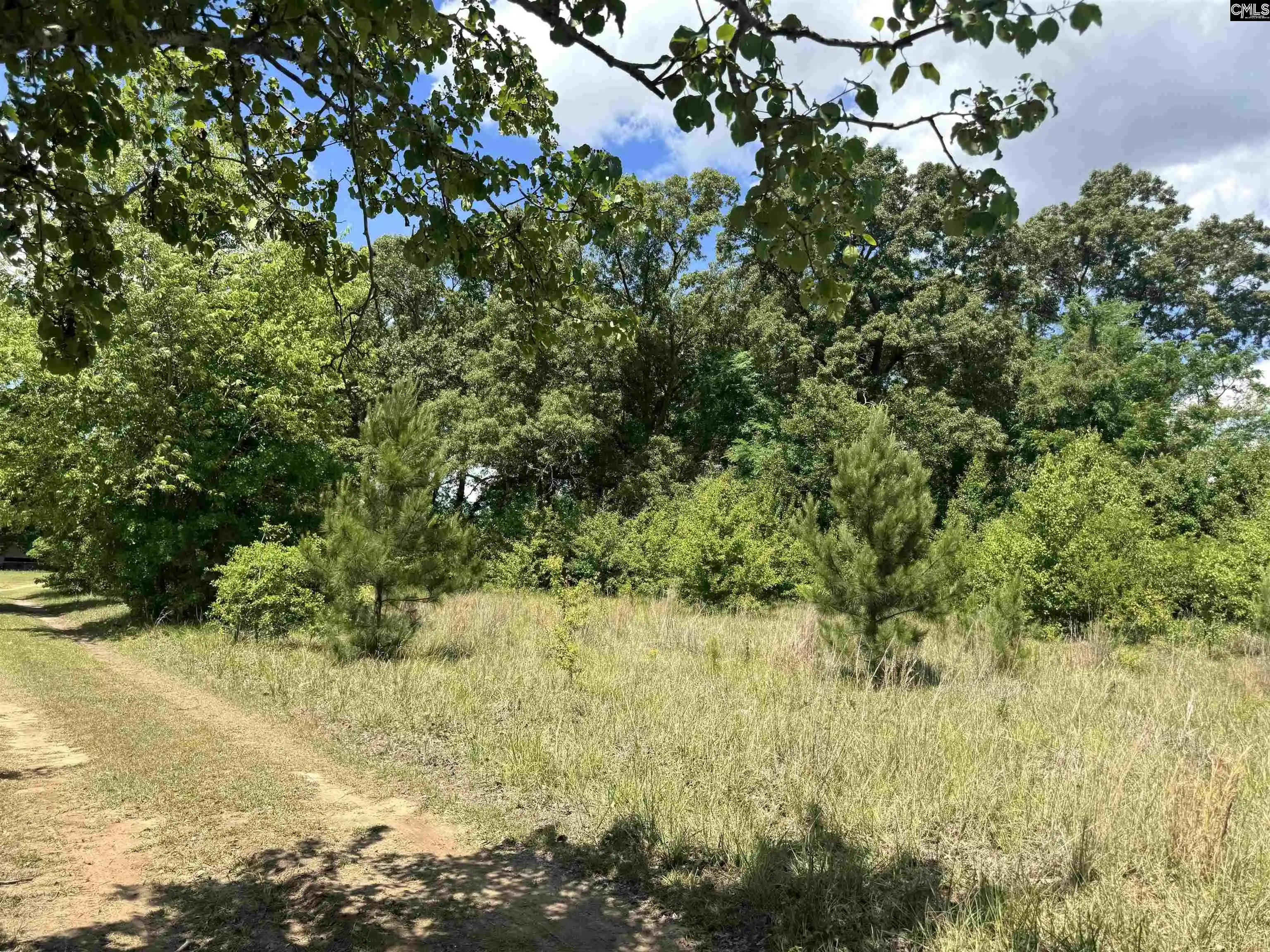 3rd image of 1536 Conagree, Hopkins, SC | MLS# 633421