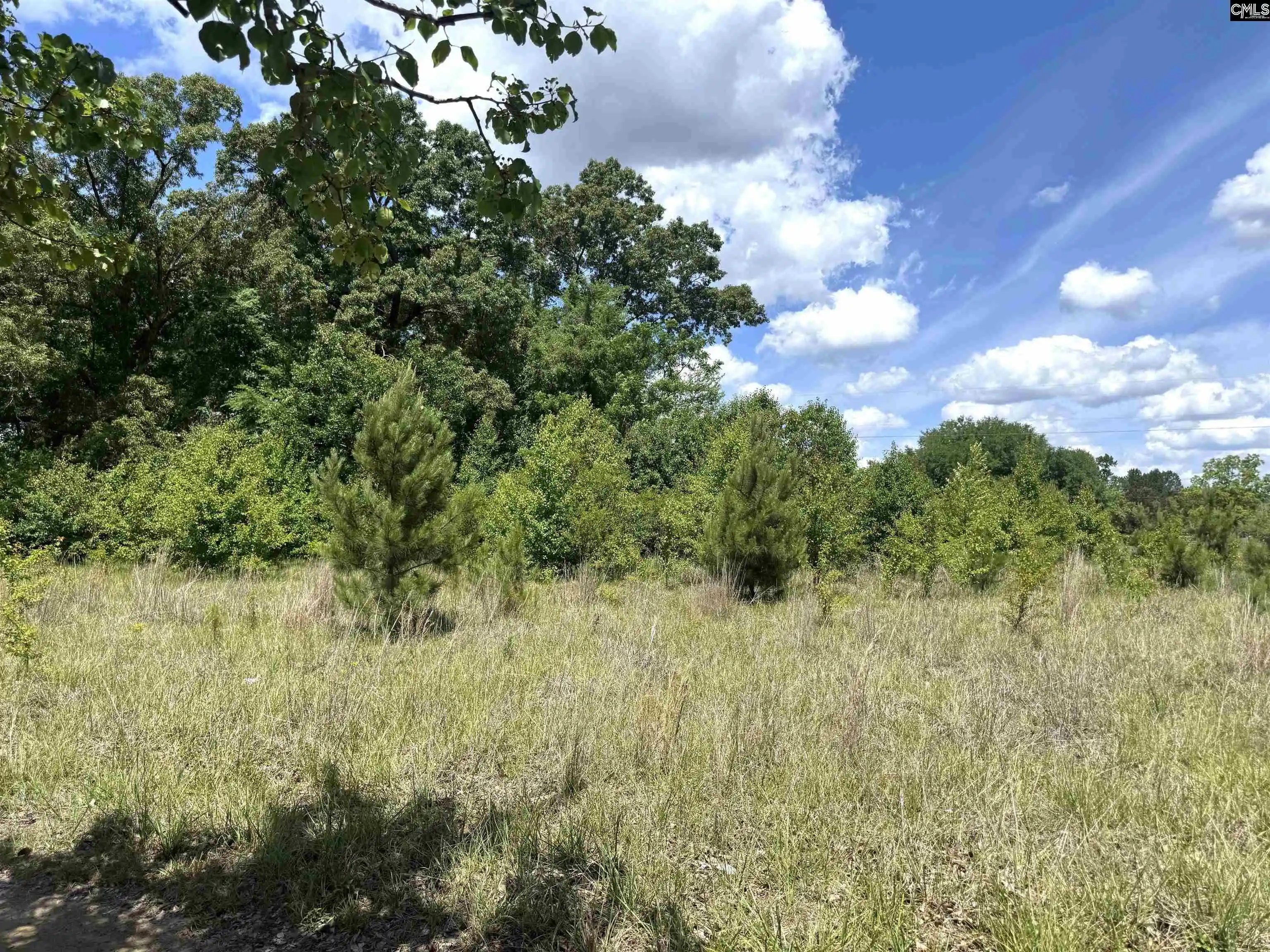 4th image of 1536 Conagree, Hopkins, SC | MLS# 633421