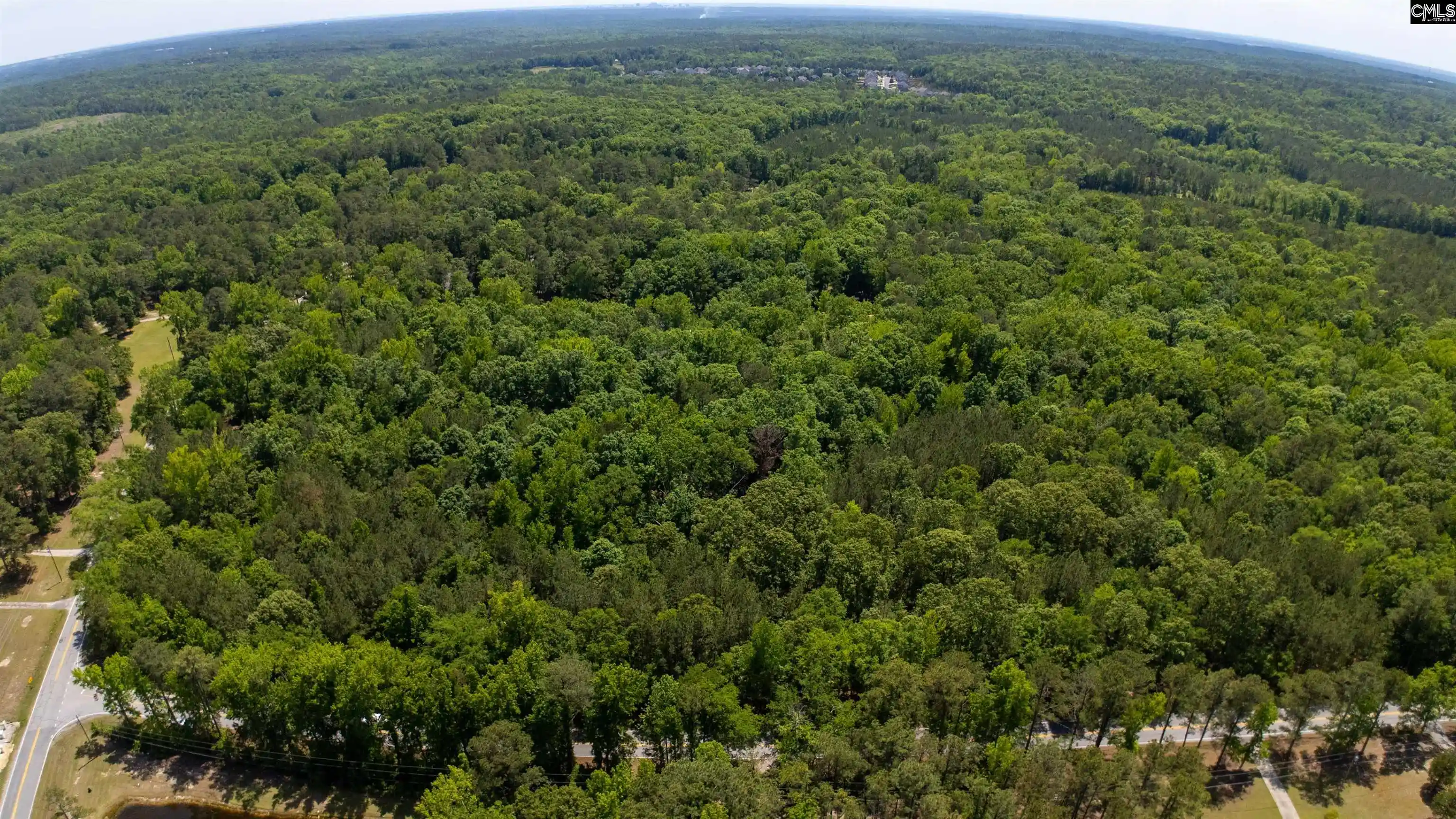 18th image of 1389 Fulmer, Blythewood, SC 29016 | MLS# 633523