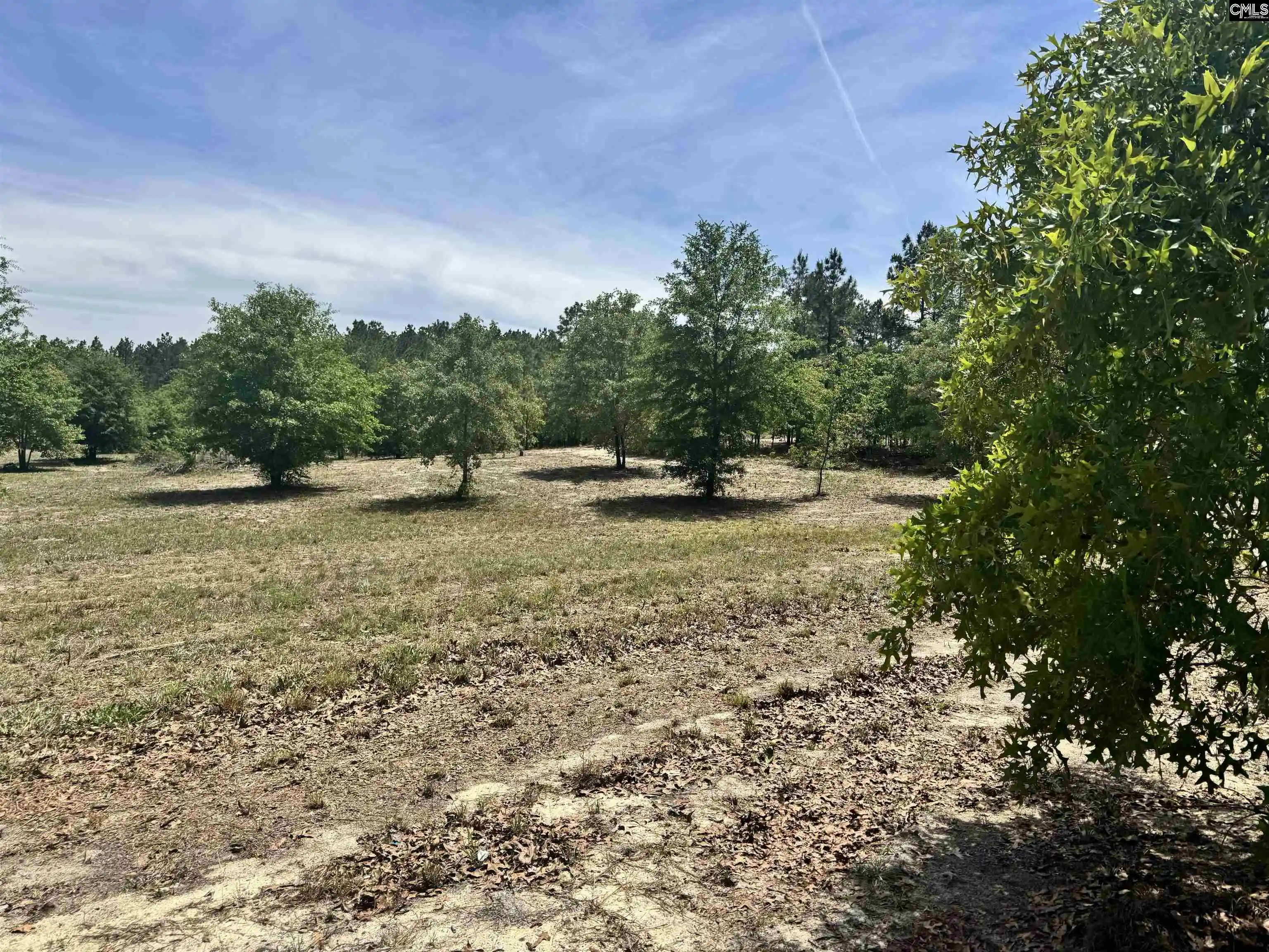 Homes for sale in Cassatt, SC | 1353 Cheraw Rd, Cassatt, SC 29032 | MLS# 633669