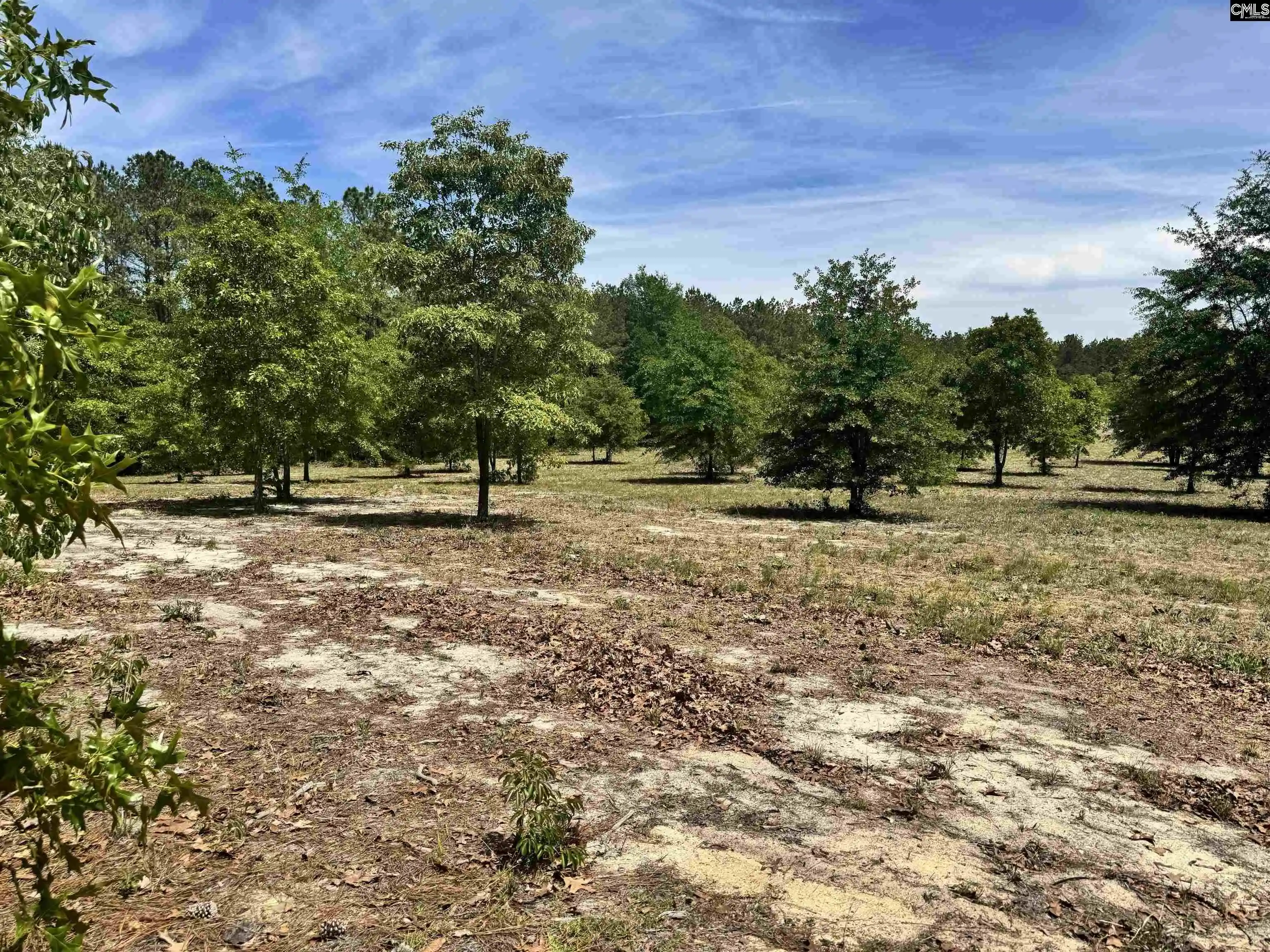Homes for sale in Cassatt, SC | 1345 Cheraw Rd, Cassatt, SC 29032 | MLS# 633675