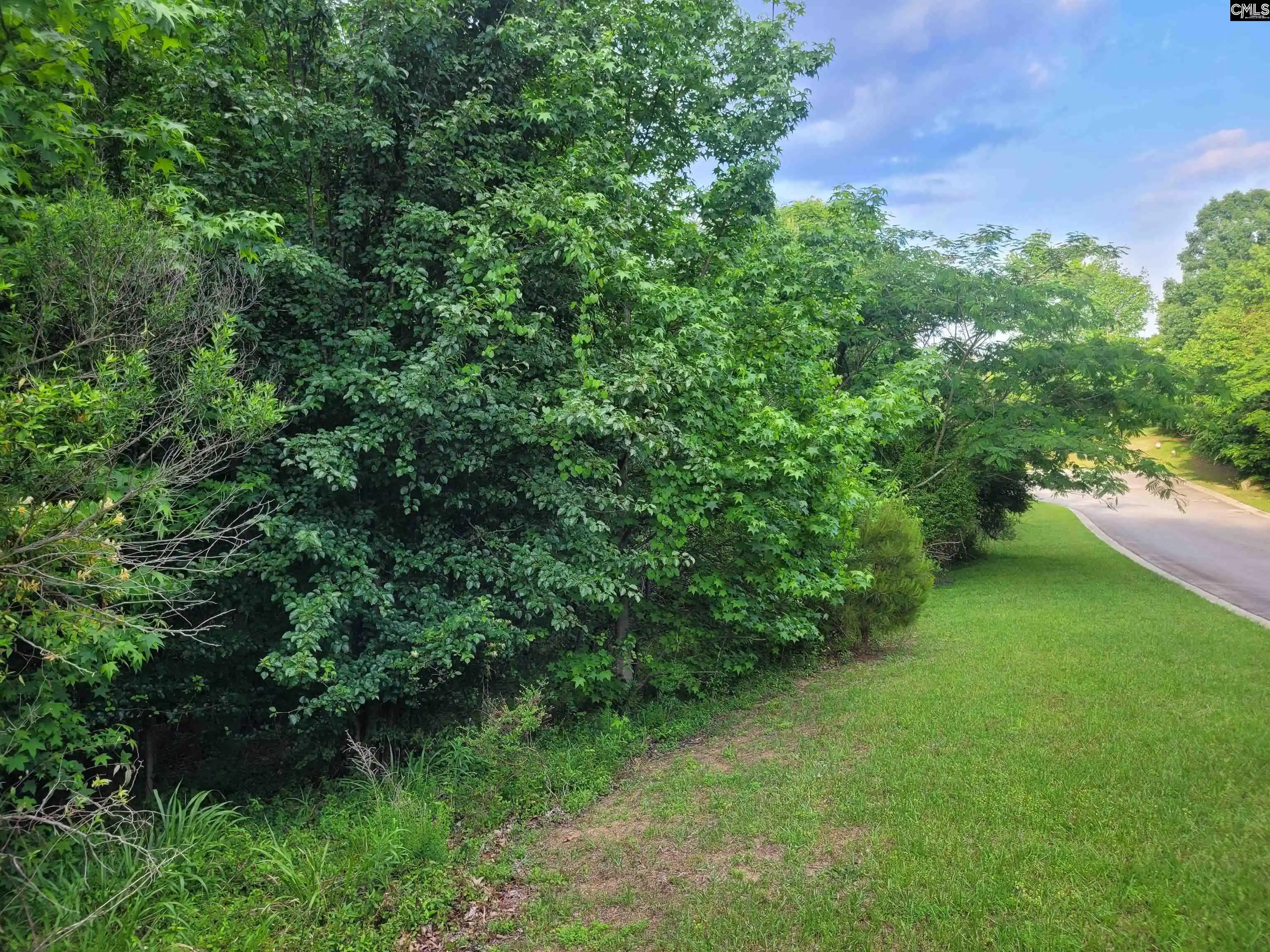 2nd image of 0 River Ridge, Columbia, SC 29210 | MLS# 633681