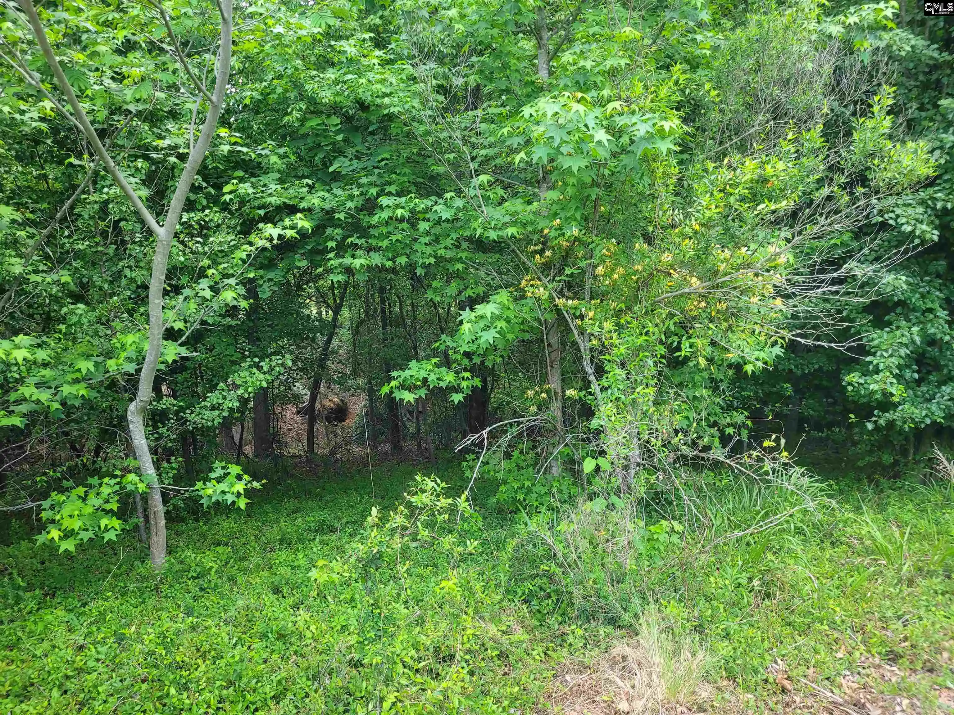 3rd image of 0 River Ridge, Columbia, SC 29210 | MLS# 633681